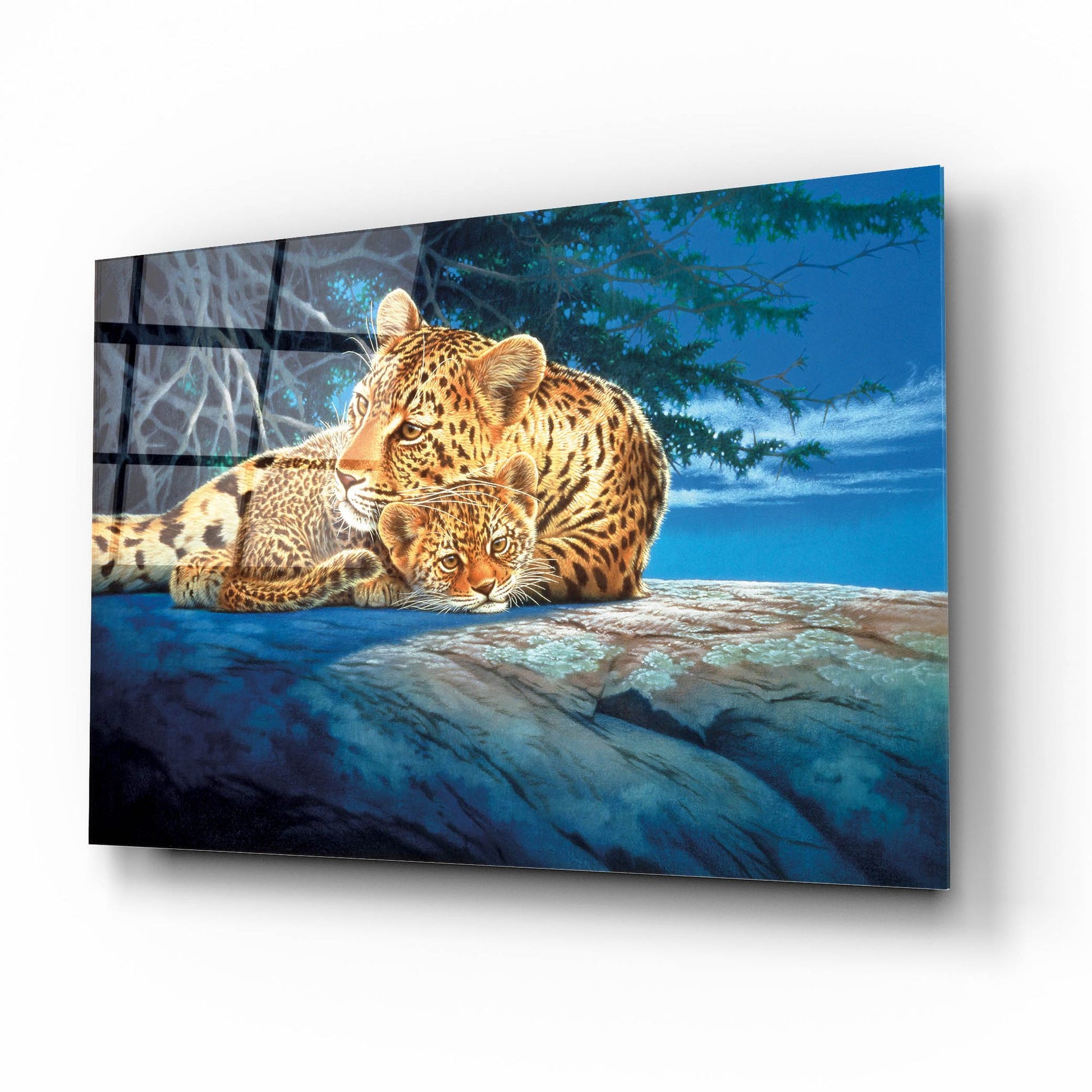 Epic Art 'Sunlight Filtering' by Joh Naito, Acrylic Glass Wall Art,16x12