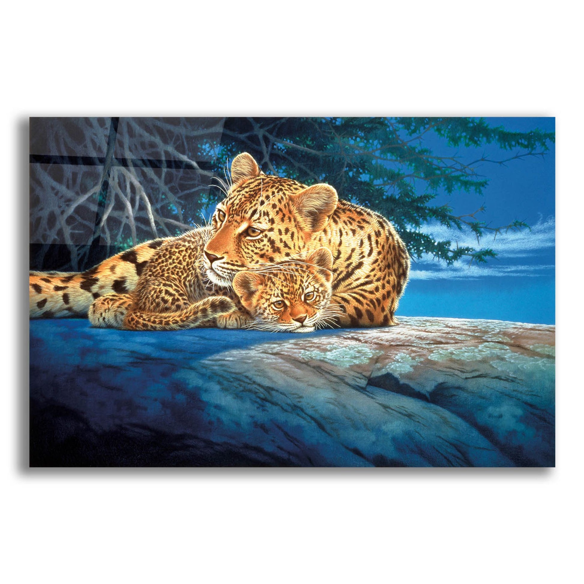 Epic Art 'Sunlight Filtering' by Joh Naito, Acrylic Glass Wall Art,16x12