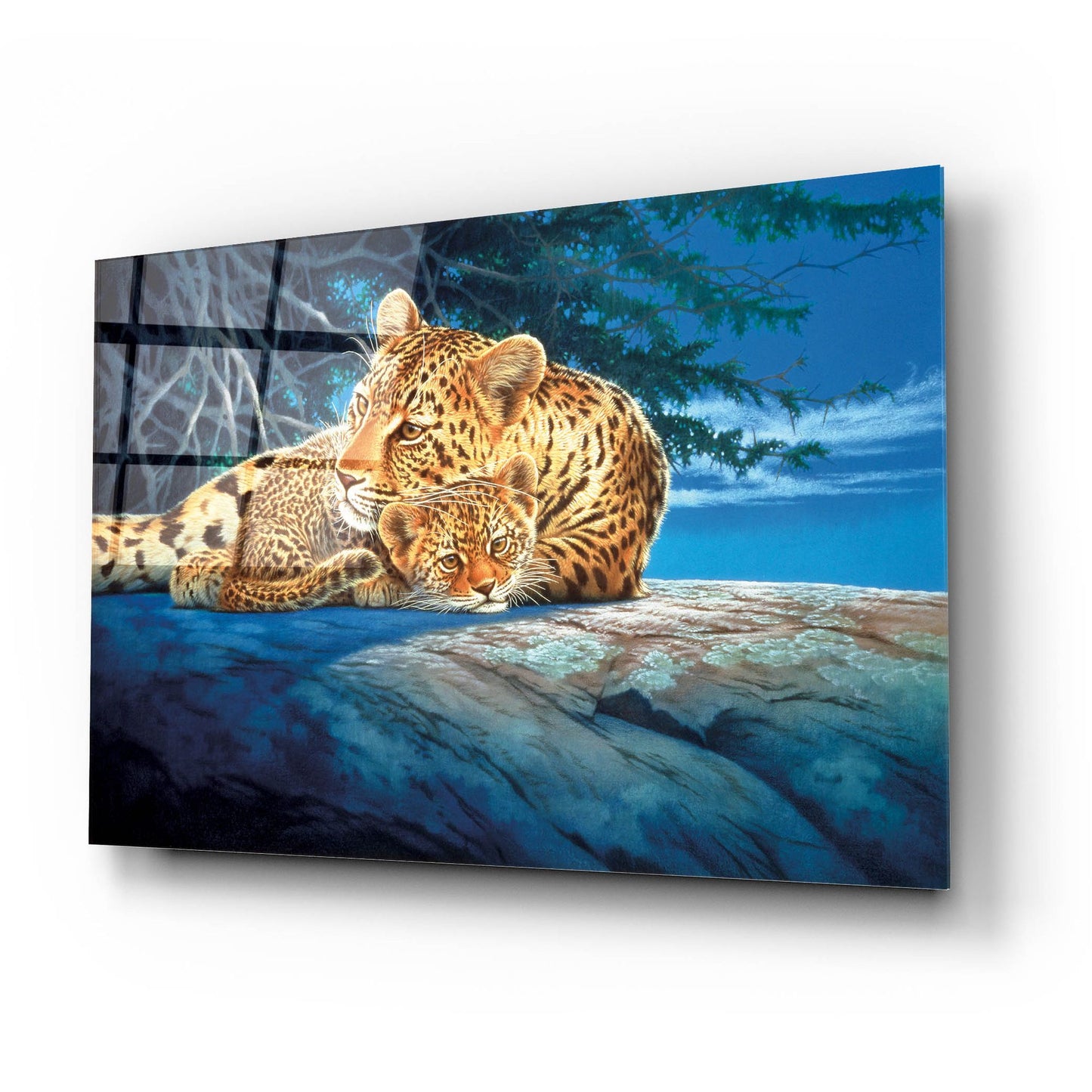 Epic Art 'Sunlight Filtering' by Joh Naito, Acrylic Glass Wall Art,24x16