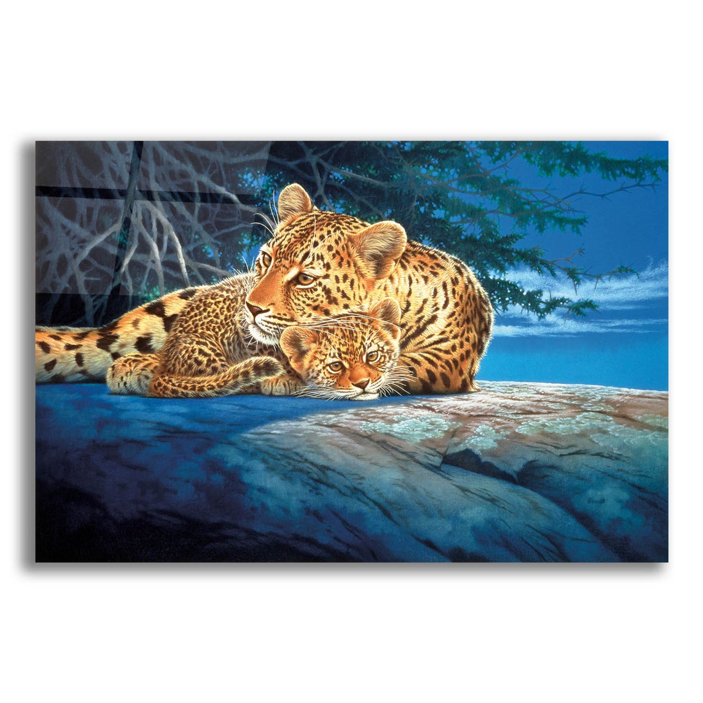 Epic Art 'Sunlight Filtering' by Joh Naito, Acrylic Glass Wall Art,24x16