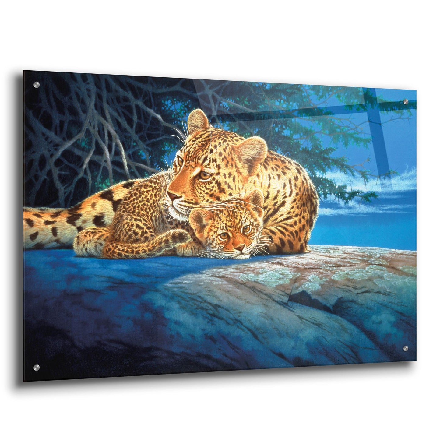 Epic Art 'Sunlight Filtering' by Joh Naito, Acrylic Glass Wall Art,36x24