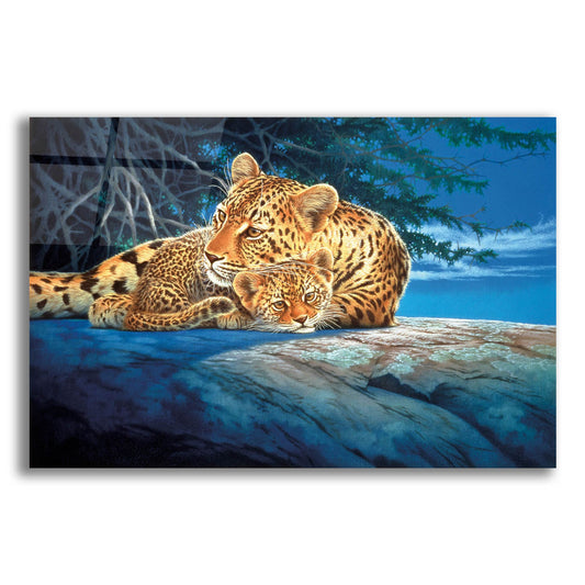Epic Art 'Sunlight Filtering' by Joh Naito, Acrylic Glass Wall Art