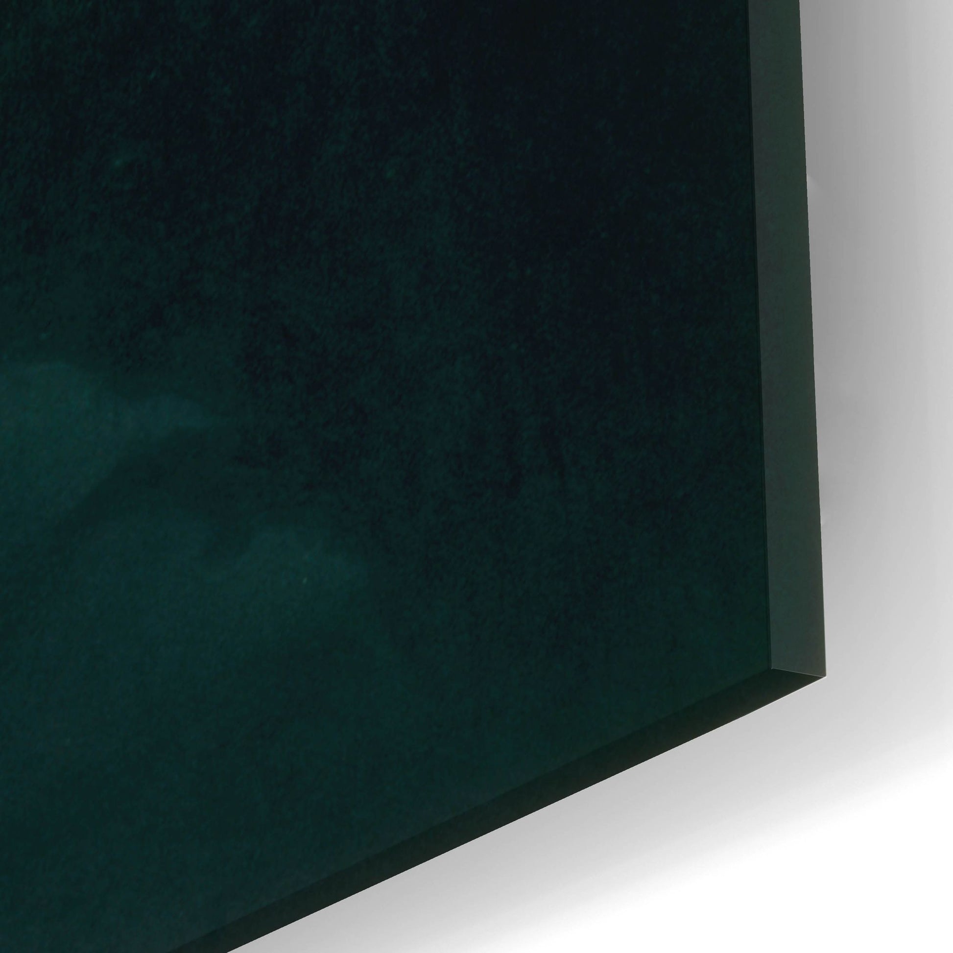 Epic Art 'Wild Heart ' by Joh Naito, Acrylic Glass Wall Art,16x24