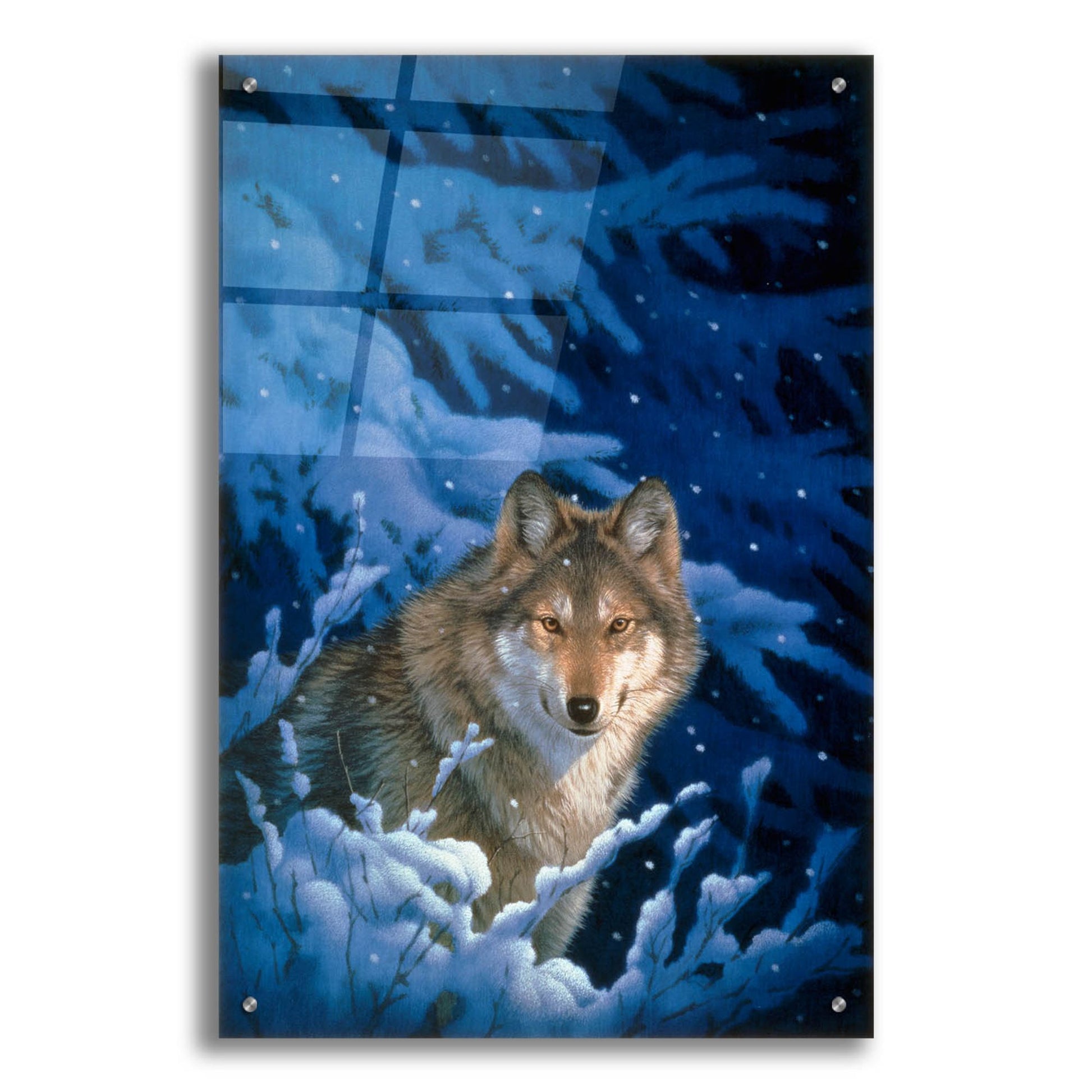 Epic Art 'Winter-Snow' by Joh Naito, Acrylic Glass Wall Art,24x36