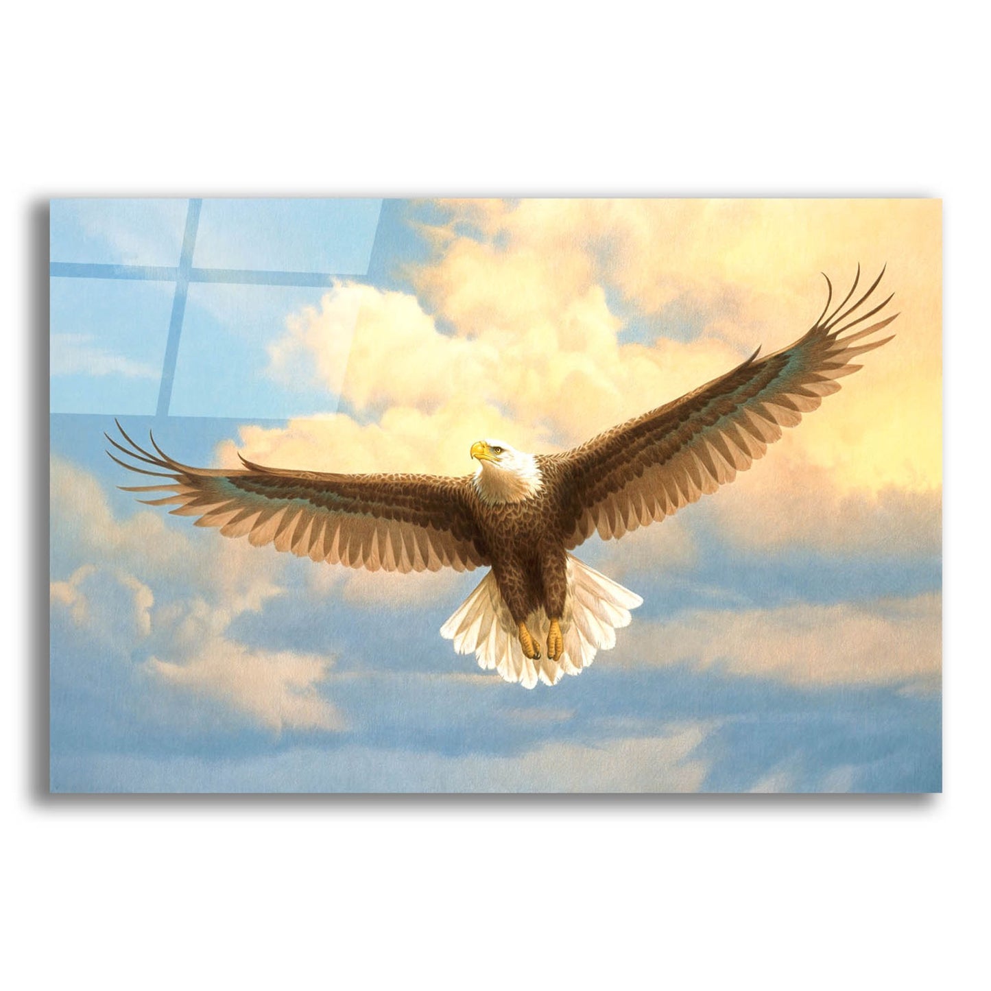 Epic Art 'Bald Eagle' by Joh Naito, Acrylic Glass Wall Art,24x16