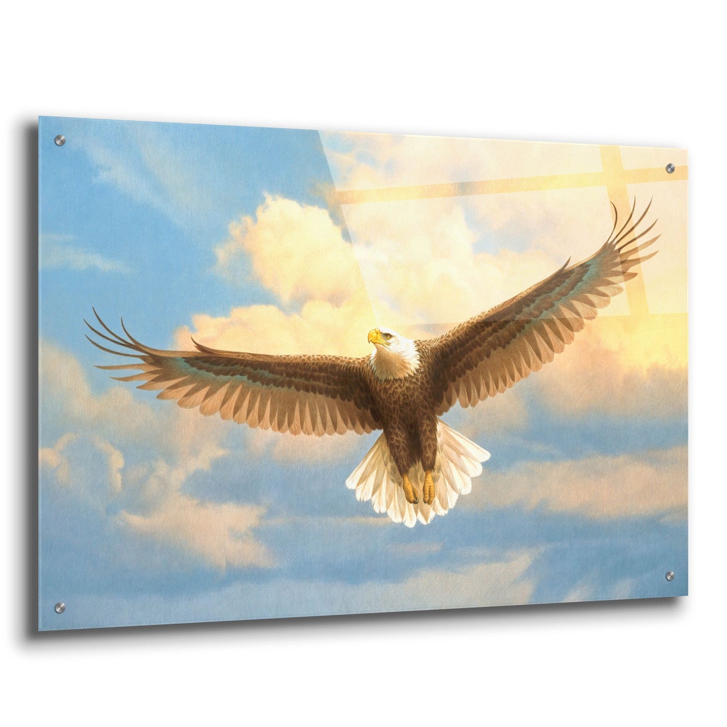 Epic Art 'Bald Eagle' by Joh Naito, Acrylic Glass Wall Art,36x24