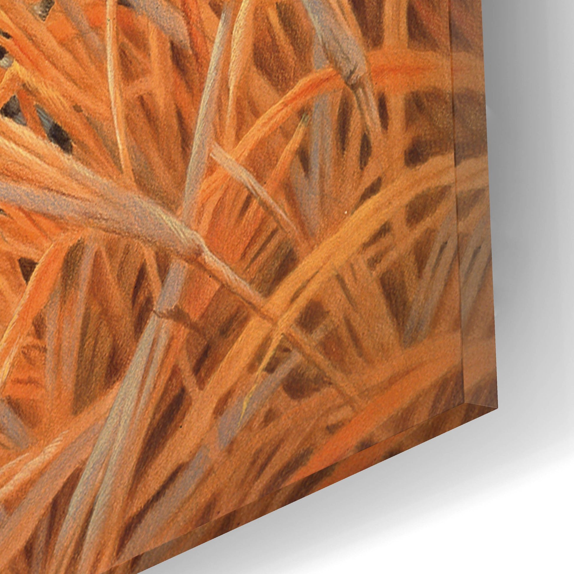 Epic Art 'Brave' by Joh Naito, Acrylic Glass Wall Art,16x12