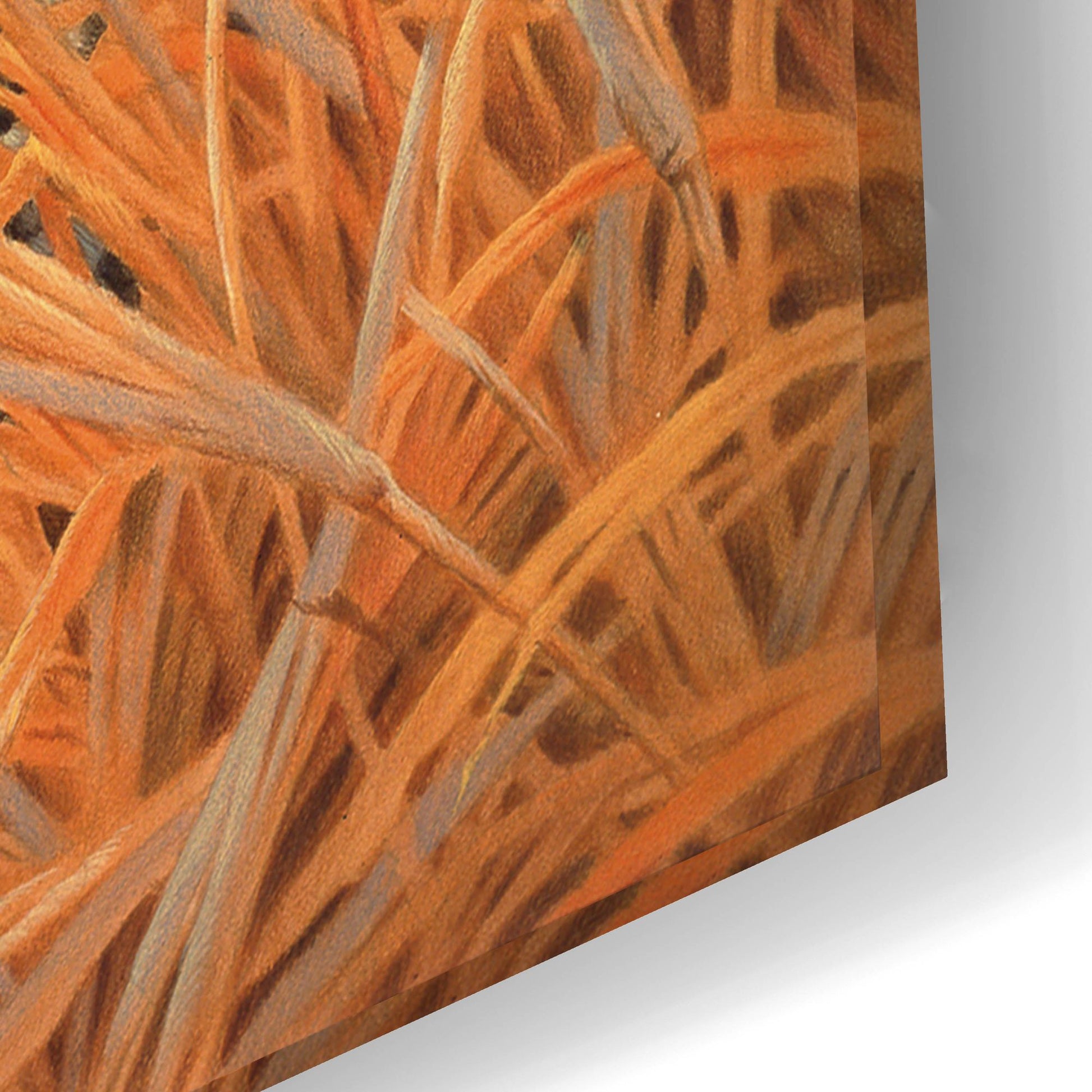 Epic Art 'Brave' by Joh Naito, Acrylic Glass Wall Art,24x16