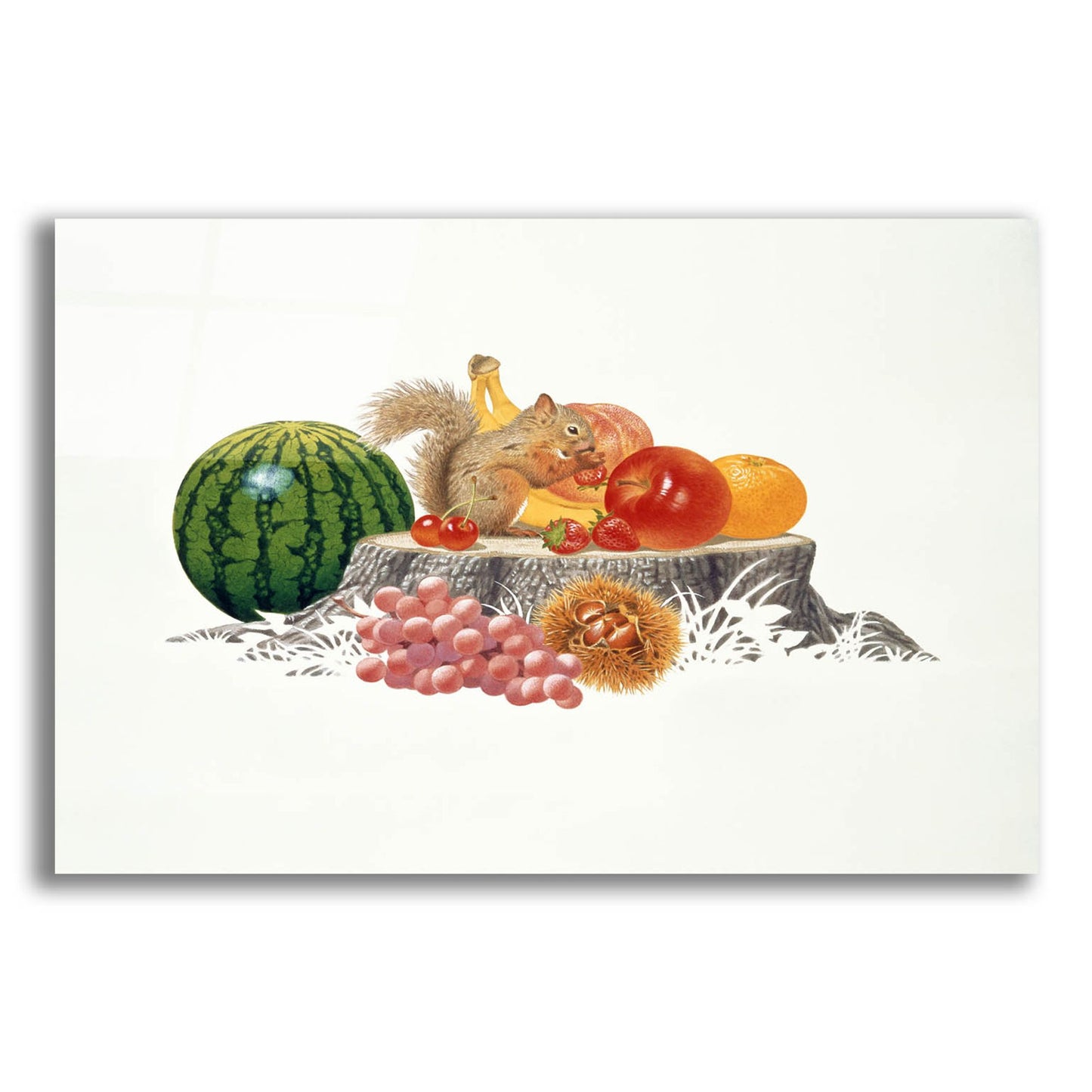 Epic Art 'Fruits Fiesta' by Joh Naito, Acrylic Glass Wall Art,16x12