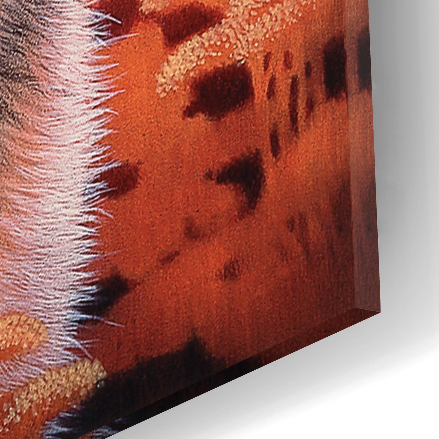 Epic Art 'Gaze' by Joh Naito, Acrylic Glass Wall Art,12x16