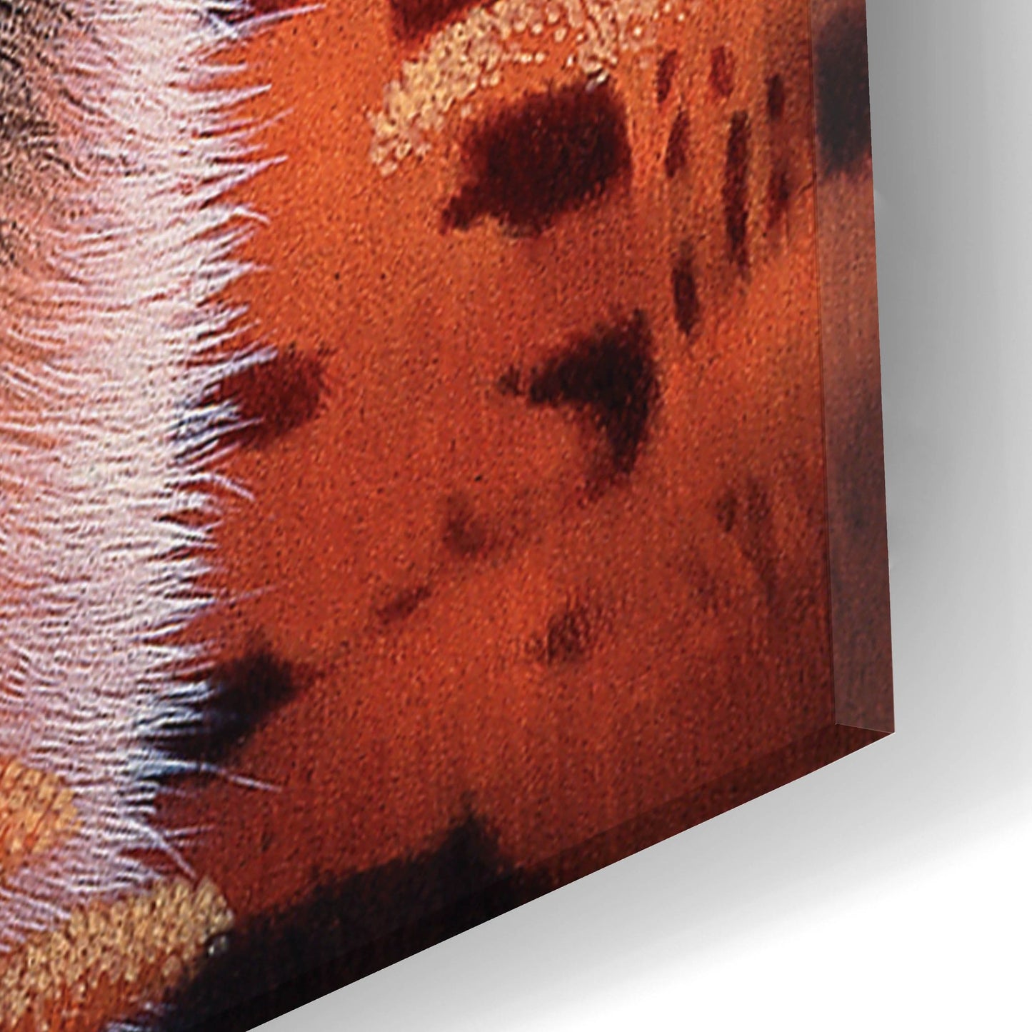 Epic Art 'Gaze' by Joh Naito, Acrylic Glass Wall Art,16x24