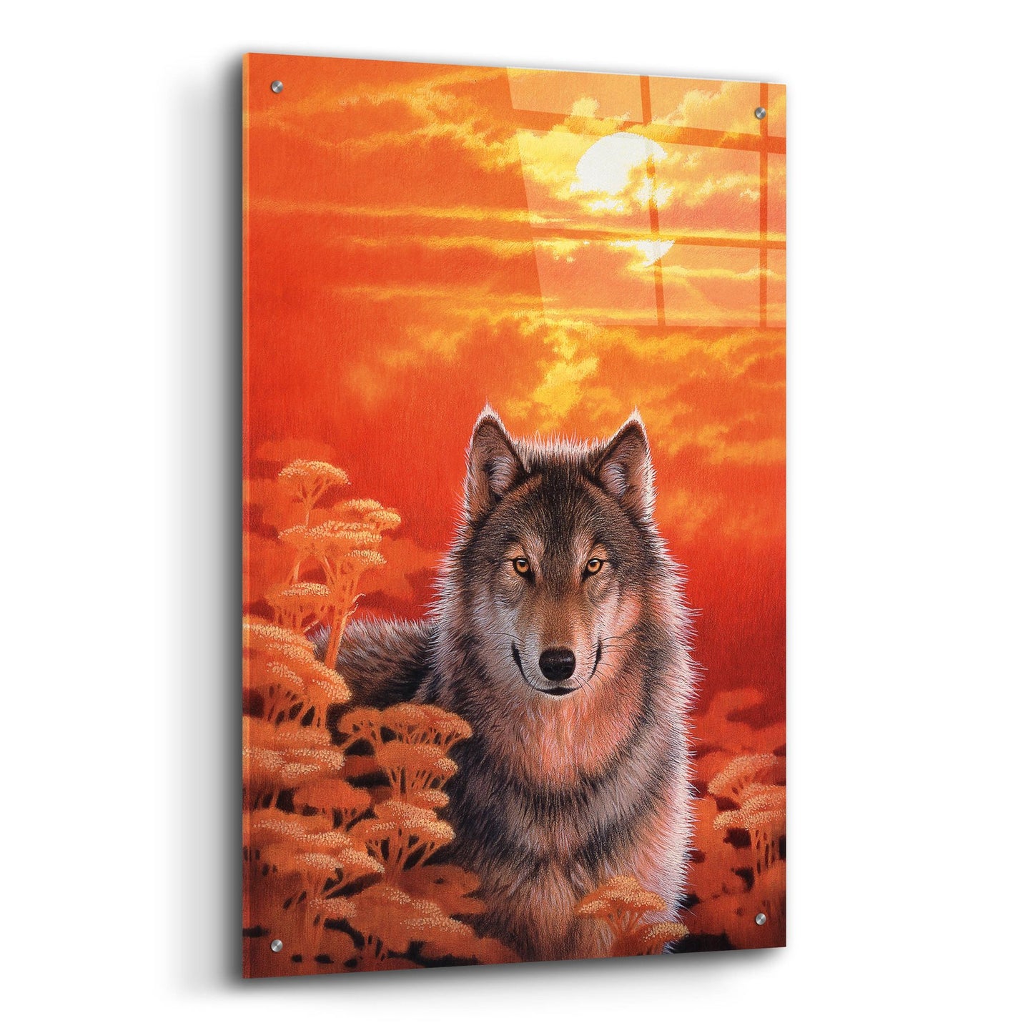 Epic Art 'Gaze' by Joh Naito, Acrylic Glass Wall Art,24x36