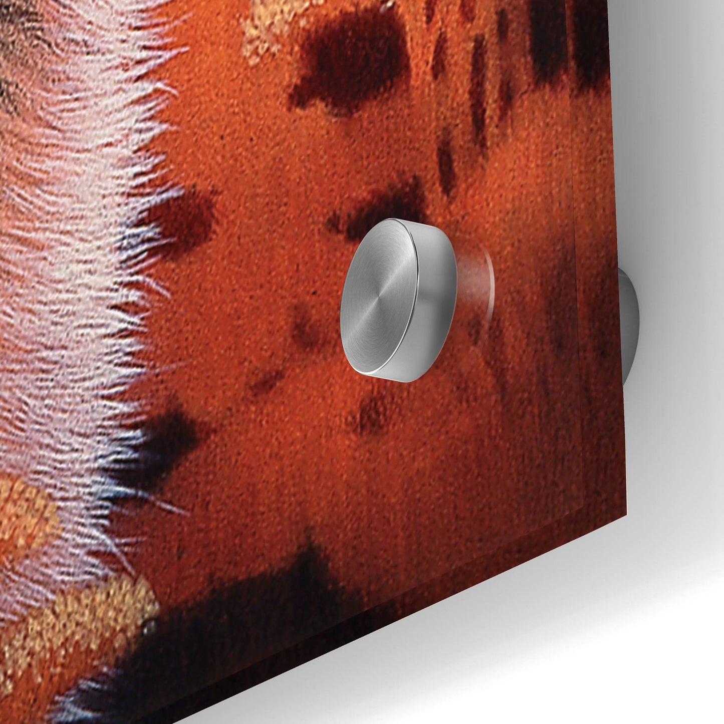 Epic Art 'Gaze' by Joh Naito, Acrylic Glass Wall Art,24x36