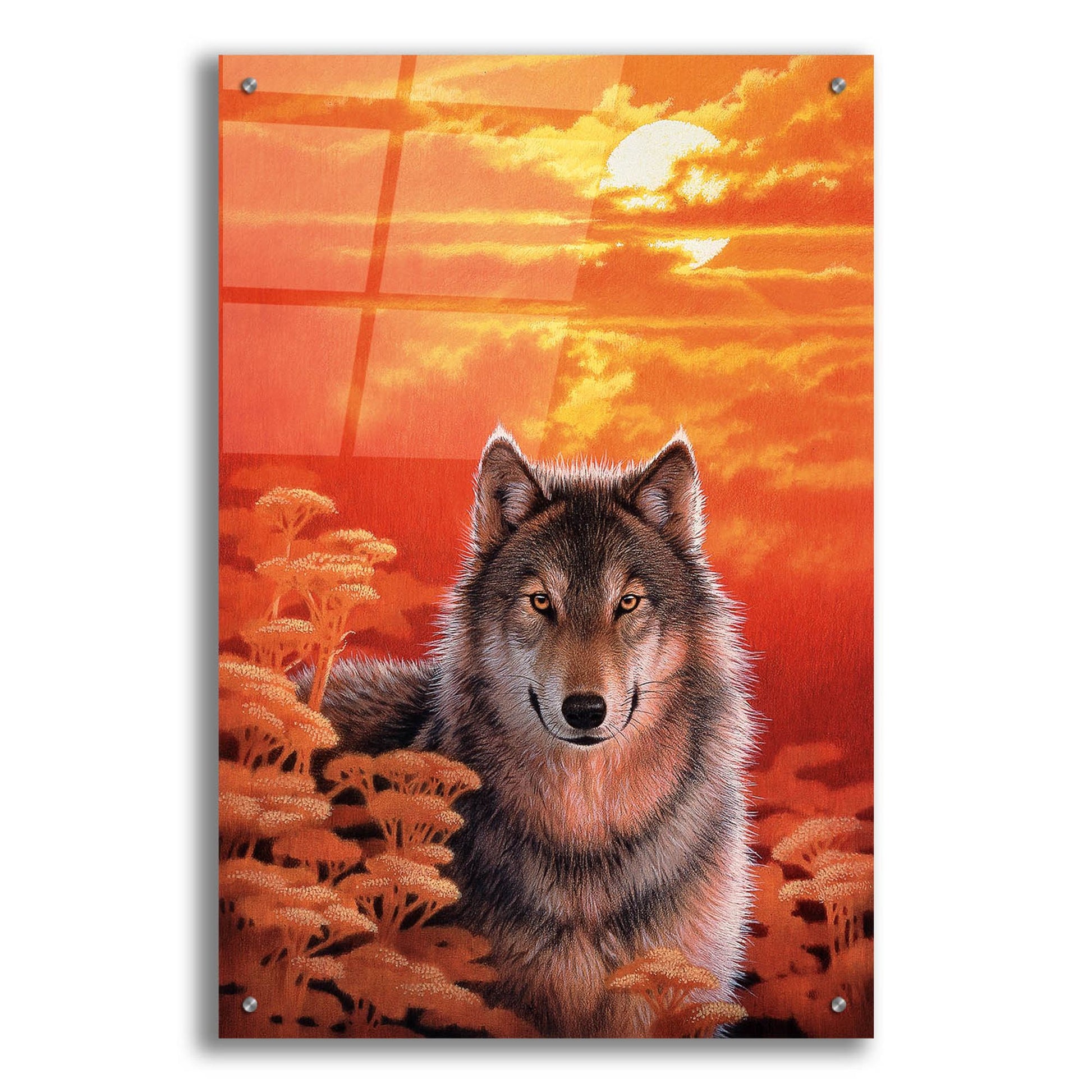 Epic Art 'Gaze' by Joh Naito, Acrylic Glass Wall Art,24x36