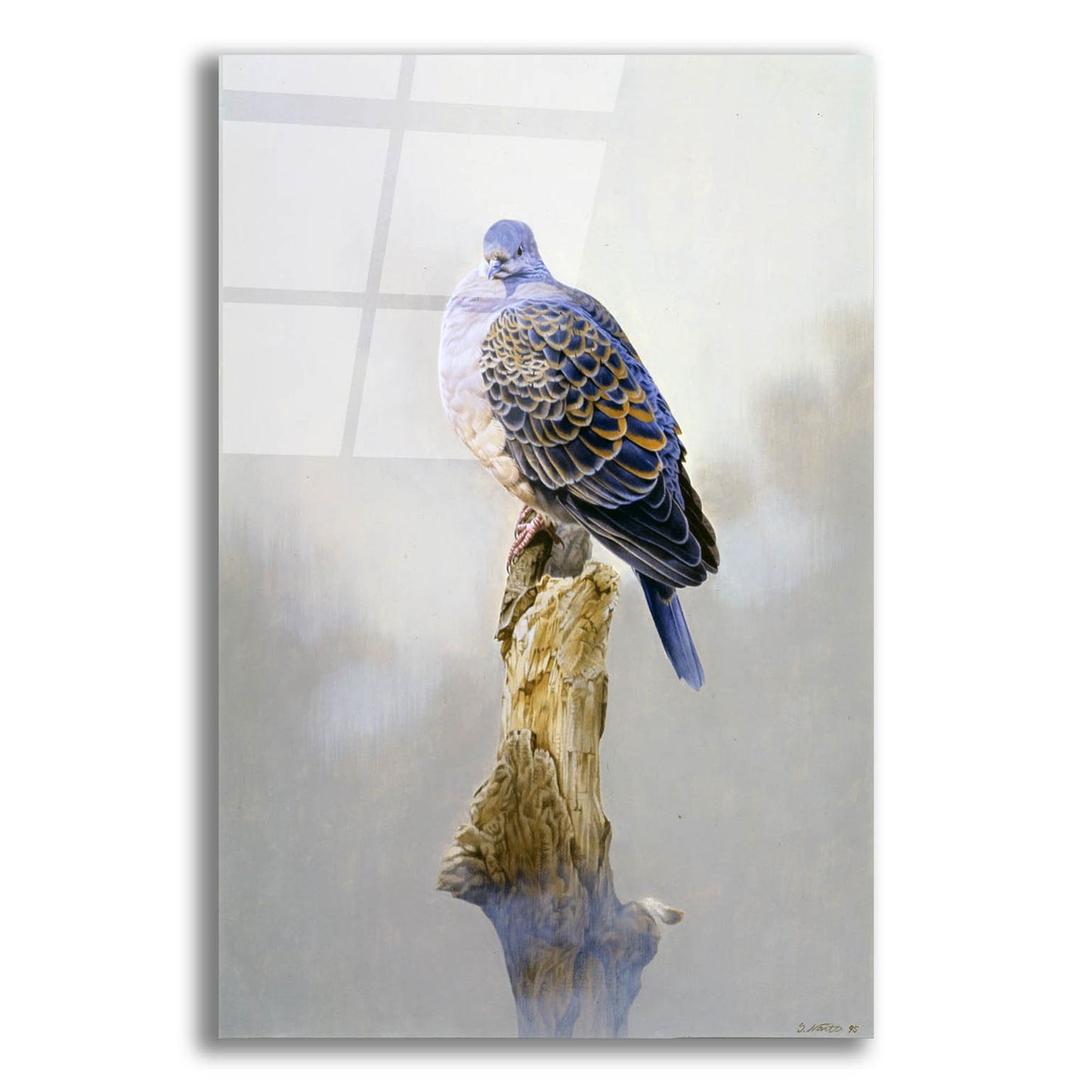 Epic Art 'Turtle Dove' by Joh Naito, Acrylic Glass Wall Art,12x16