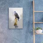 Epic Art 'Turtle Dove' by Joh Naito, Acrylic Glass Wall Art,16x24