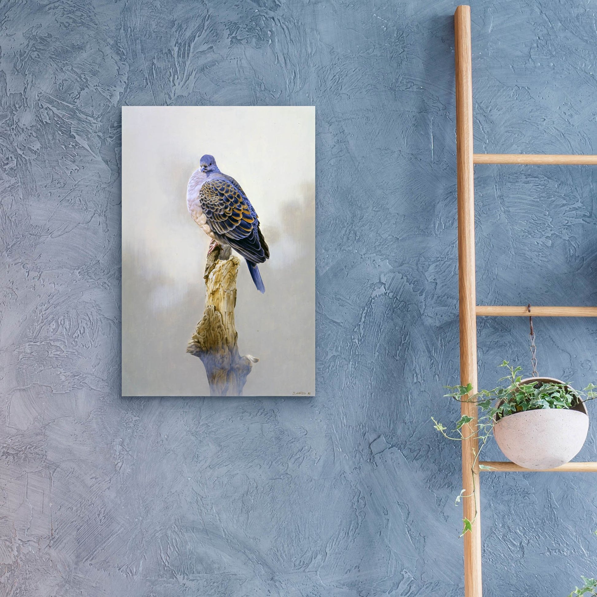 Epic Art 'Turtle Dove' by Joh Naito, Acrylic Glass Wall Art,16x24