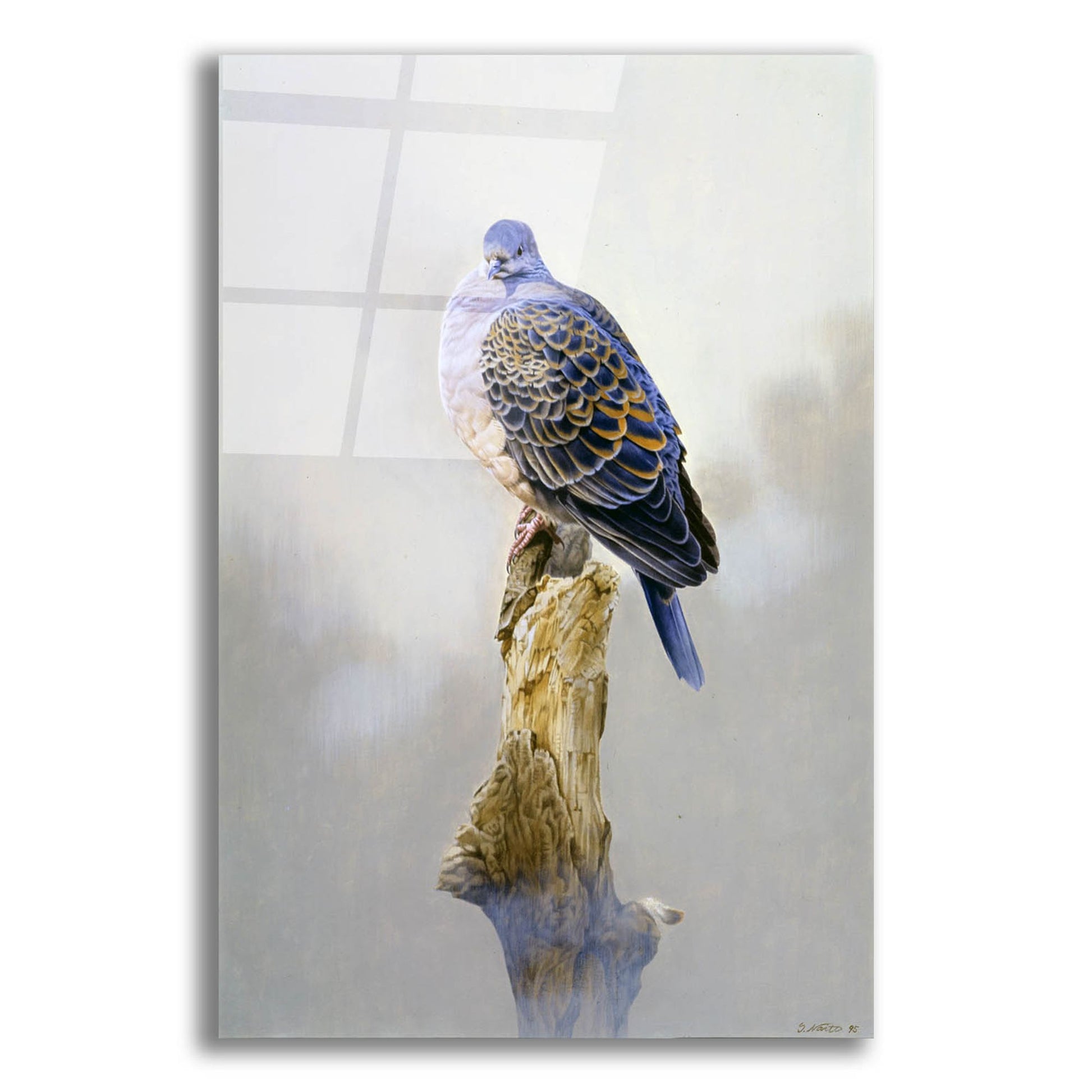 Epic Art 'Turtle Dove' by Joh Naito, Acrylic Glass Wall Art,16x24