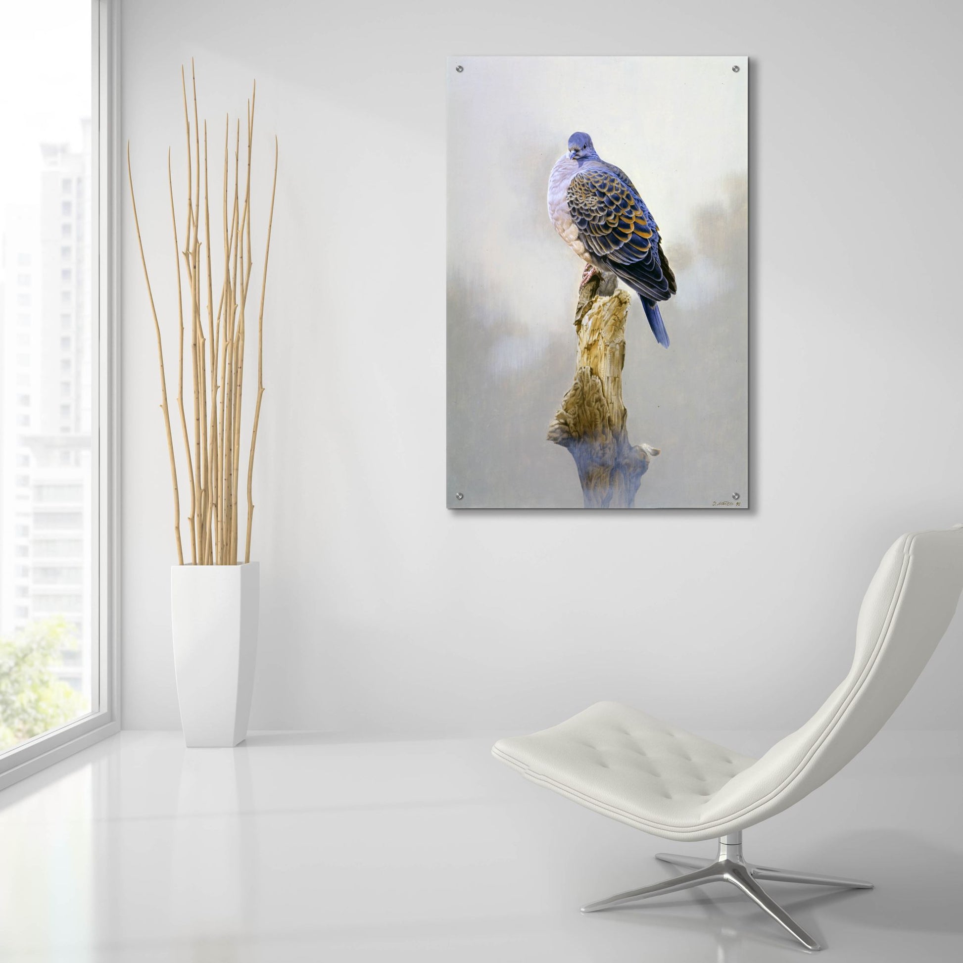 Epic Art 'Turtle Dove' by Joh Naito, Acrylic Glass Wall Art,24x36