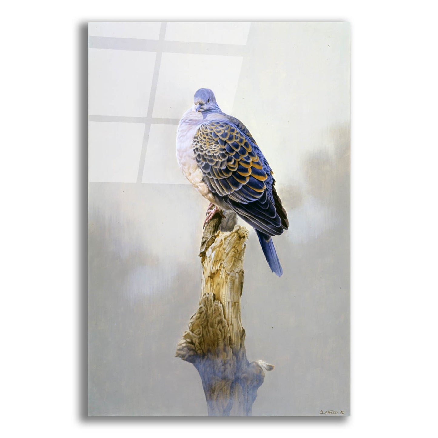 Epic Art 'Turtle Dove' by Joh Naito, Acrylic Glass Wall Art