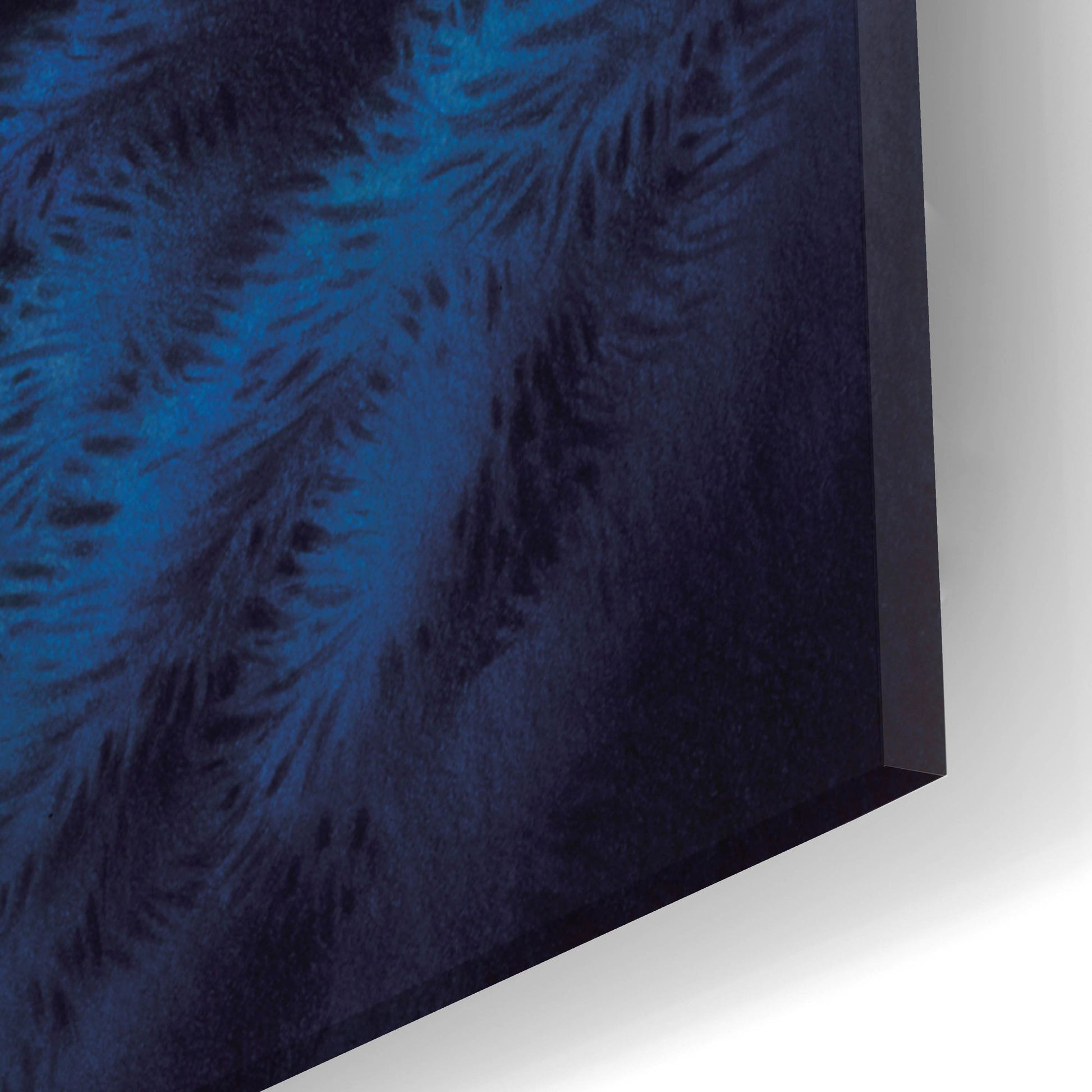 Epic Art 'Mystic Canyon' by Joh Naito, Acrylic Glass Wall Art,16x24