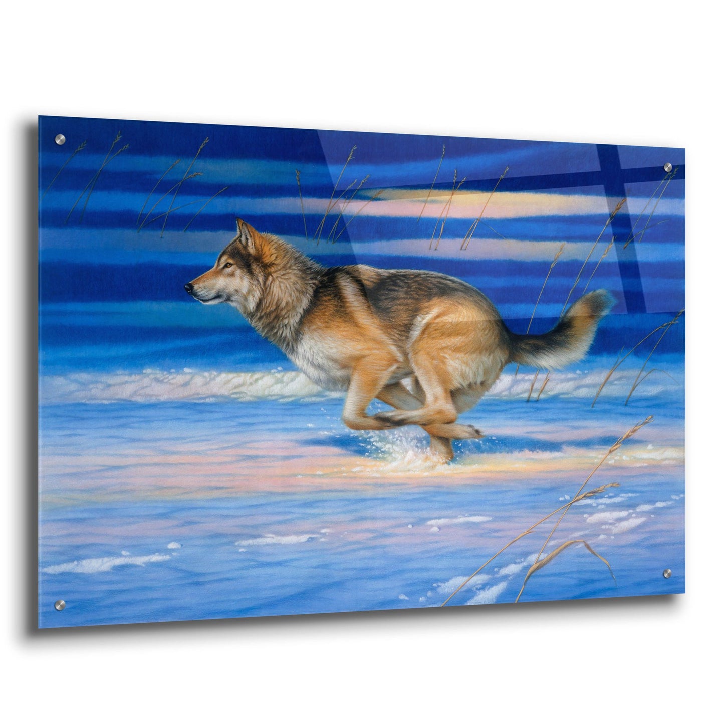 Epic Art 'Snow Beat' by Joh Naito, Acrylic Glass Wall Art,36x24