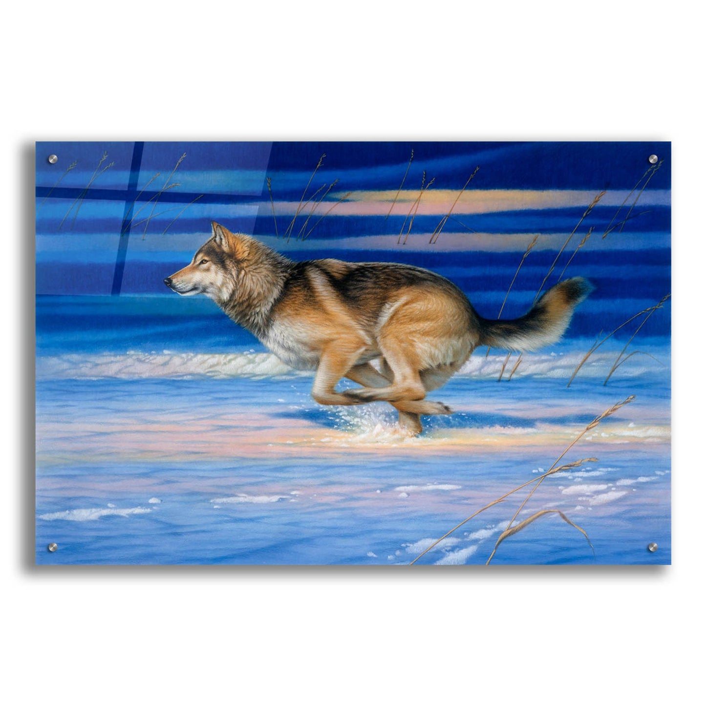 Epic Art 'Snow Beat' by Joh Naito, Acrylic Glass Wall Art,36x24
