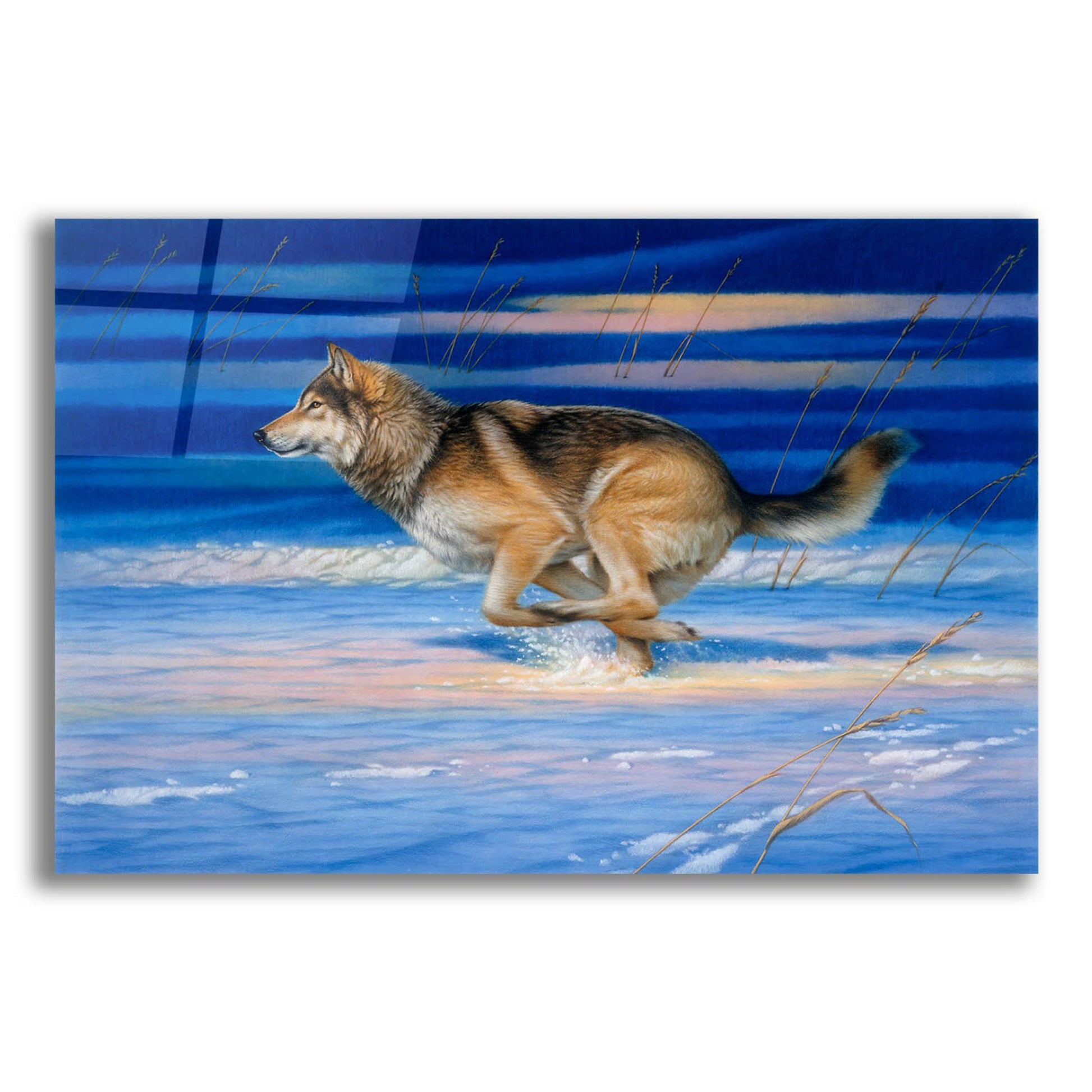Epic Art 'Snow Beat' by Joh Naito, Acrylic Glass Wall Art