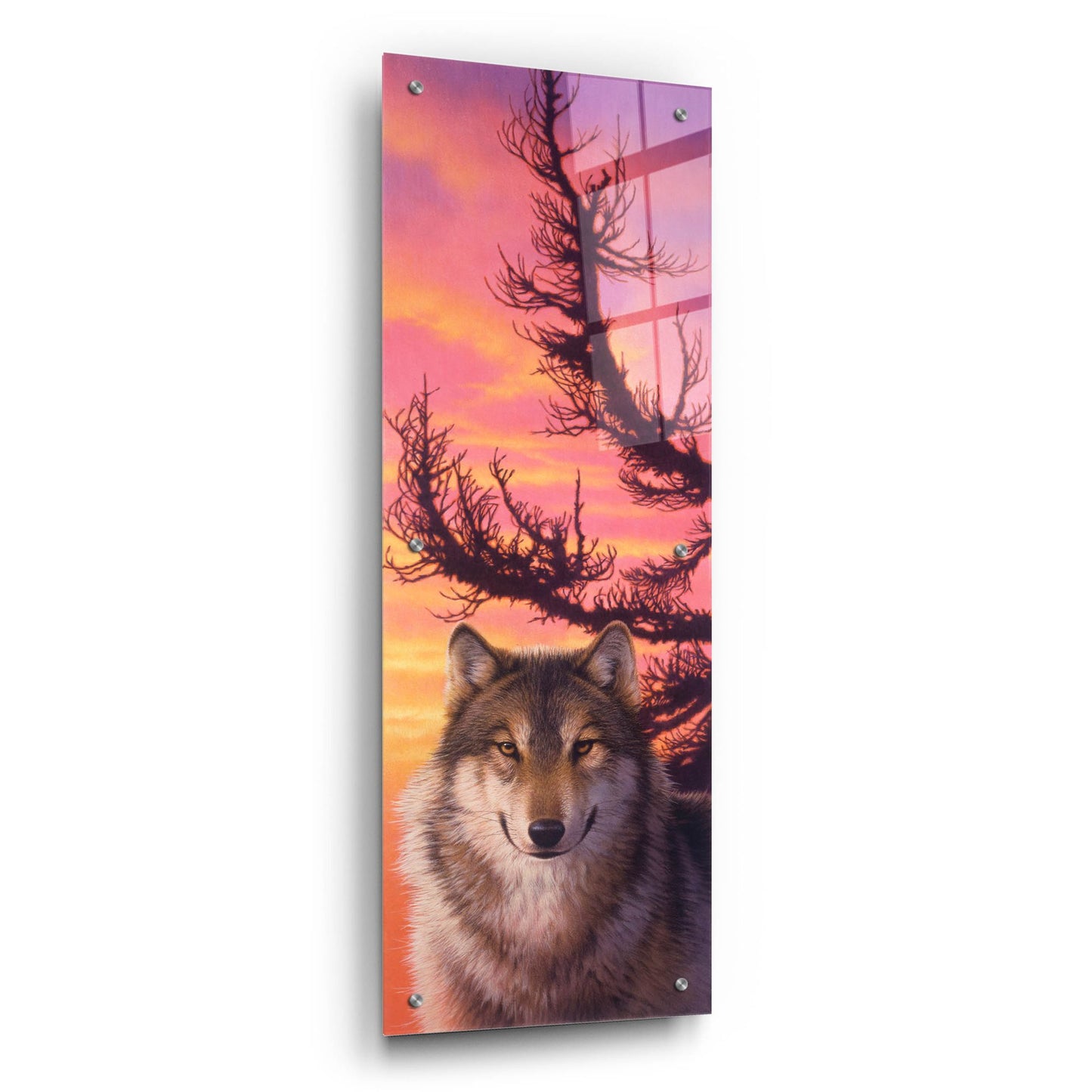 Epic Art 'Warm Sky' by Joh Naito, Acrylic Glass Wall Art,12x36