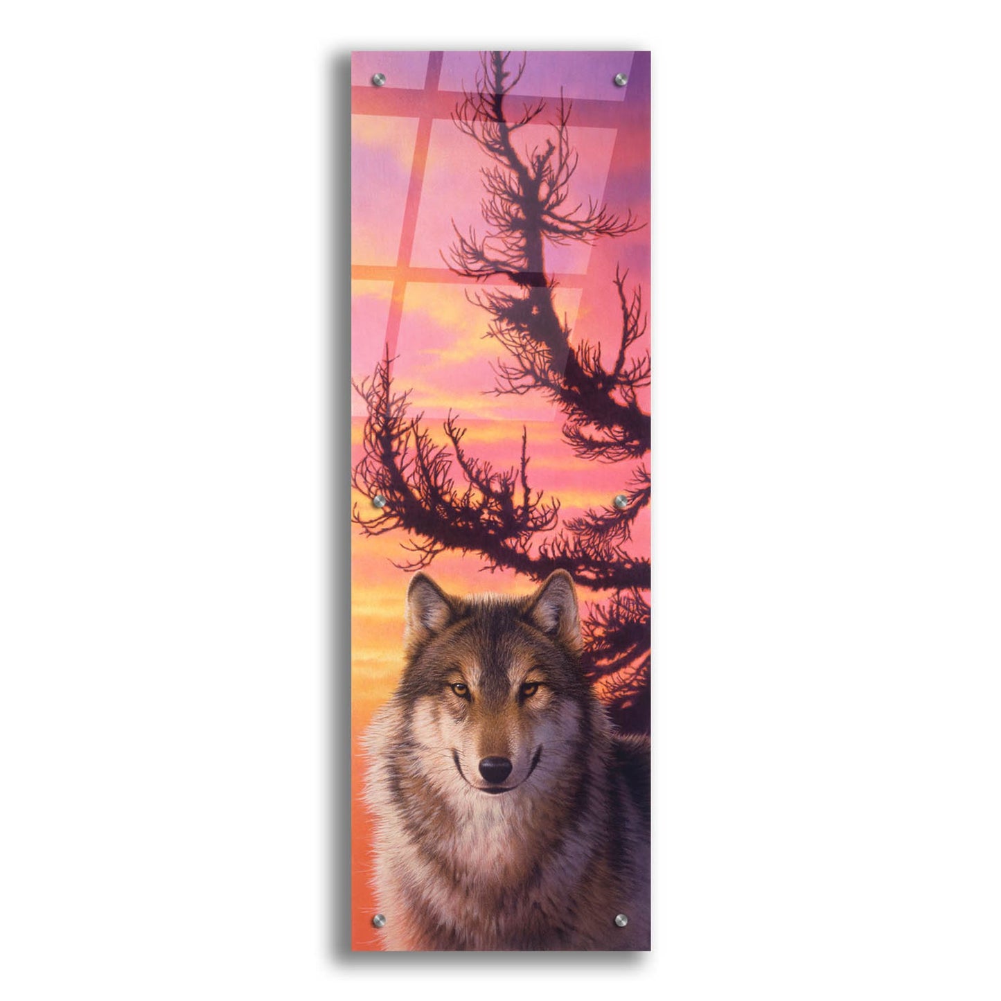 Epic Art 'Warm Sky' by Joh Naito, Acrylic Glass Wall Art,12x36