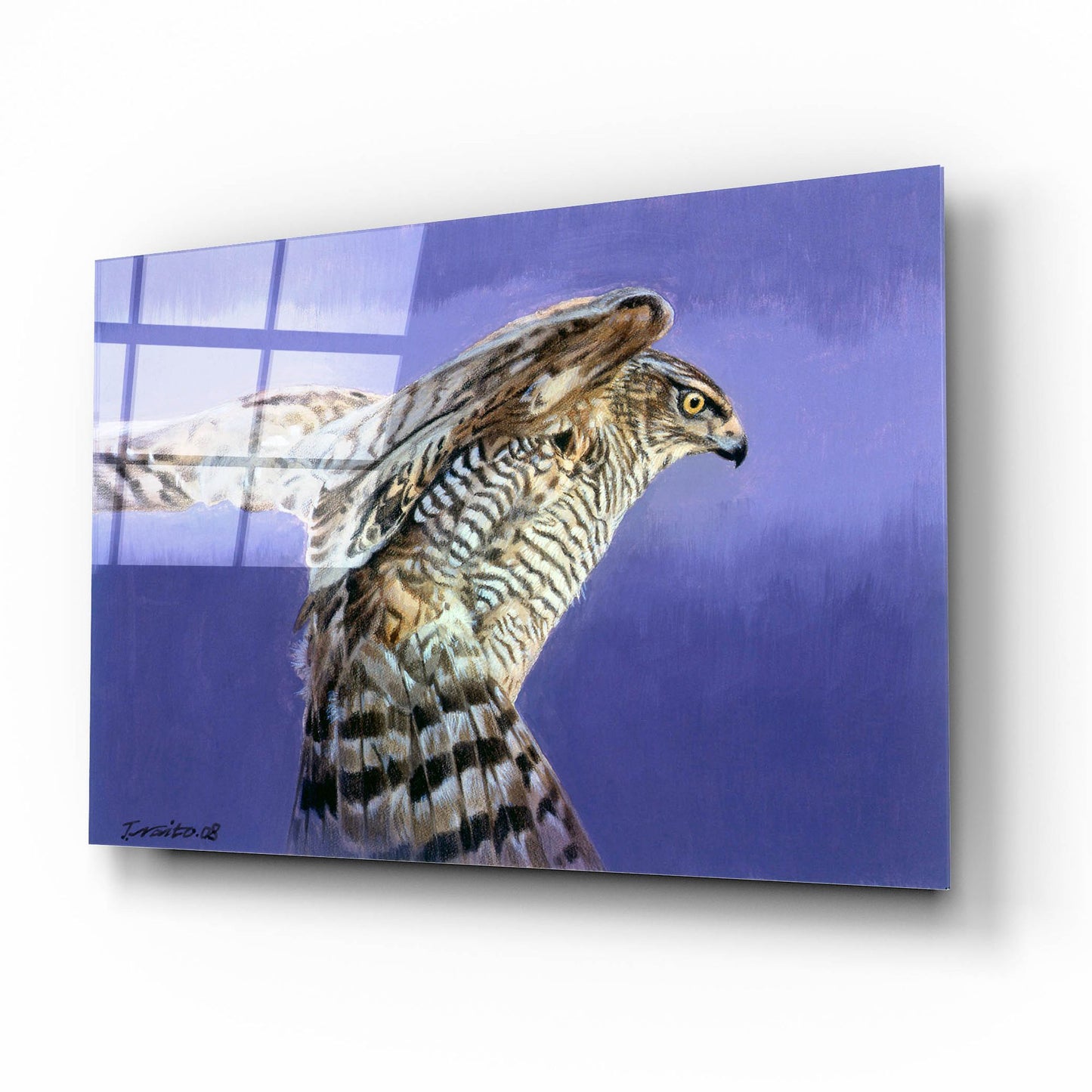 Epic Art 'Landing' by Joh Naito, Acrylic Glass Wall Art,16x12