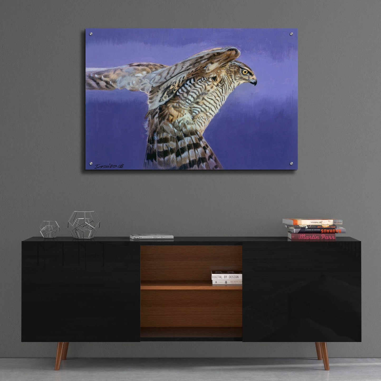 Epic Art 'Landing' by Joh Naito, Acrylic Glass Wall Art,36x24