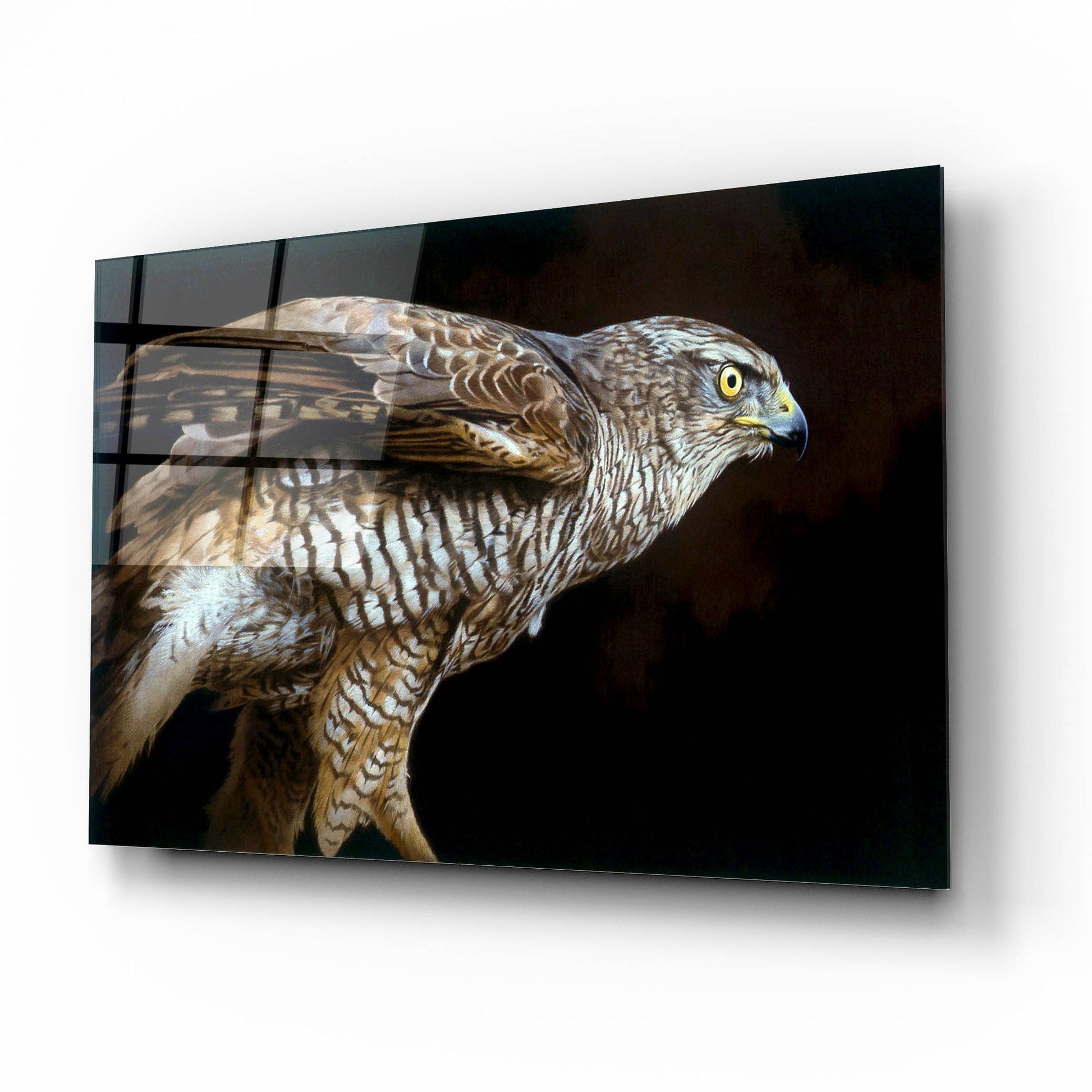 Epic Art 'Watchful' by Joh Naito, Acrylic Glass Wall Art,16x12