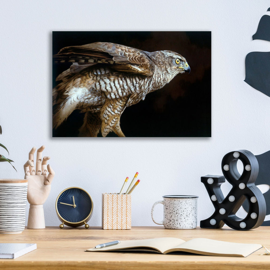 Epic Art 'Watchful' by Joh Naito, Acrylic Glass Wall Art,16x12