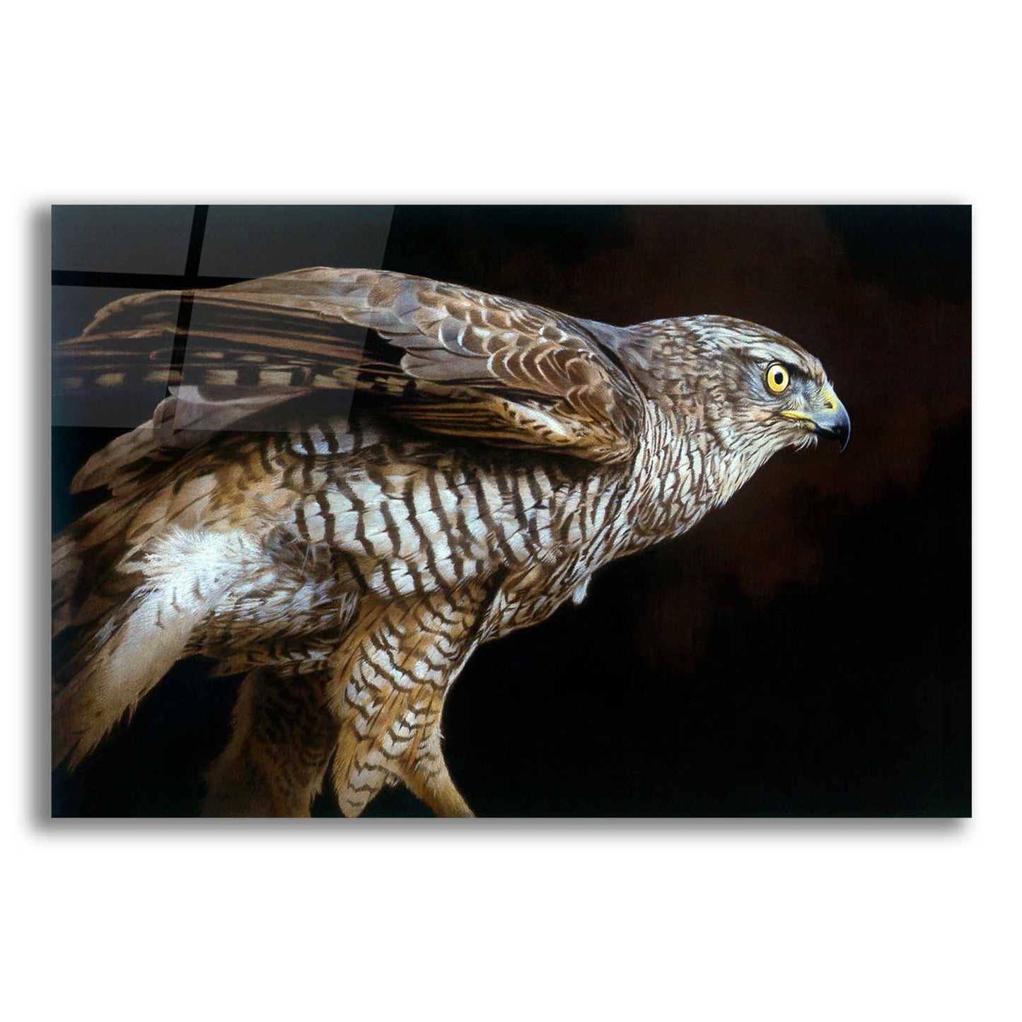 Epic Art 'Watchful' by Joh Naito, Acrylic Glass Wall Art,24x16