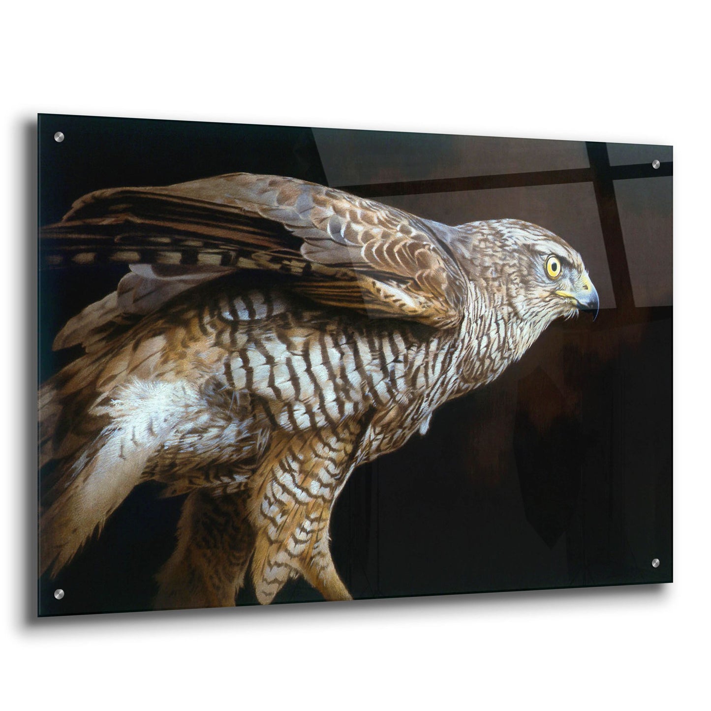 Epic Art 'Watchful' by Joh Naito, Acrylic Glass Wall Art,36x24