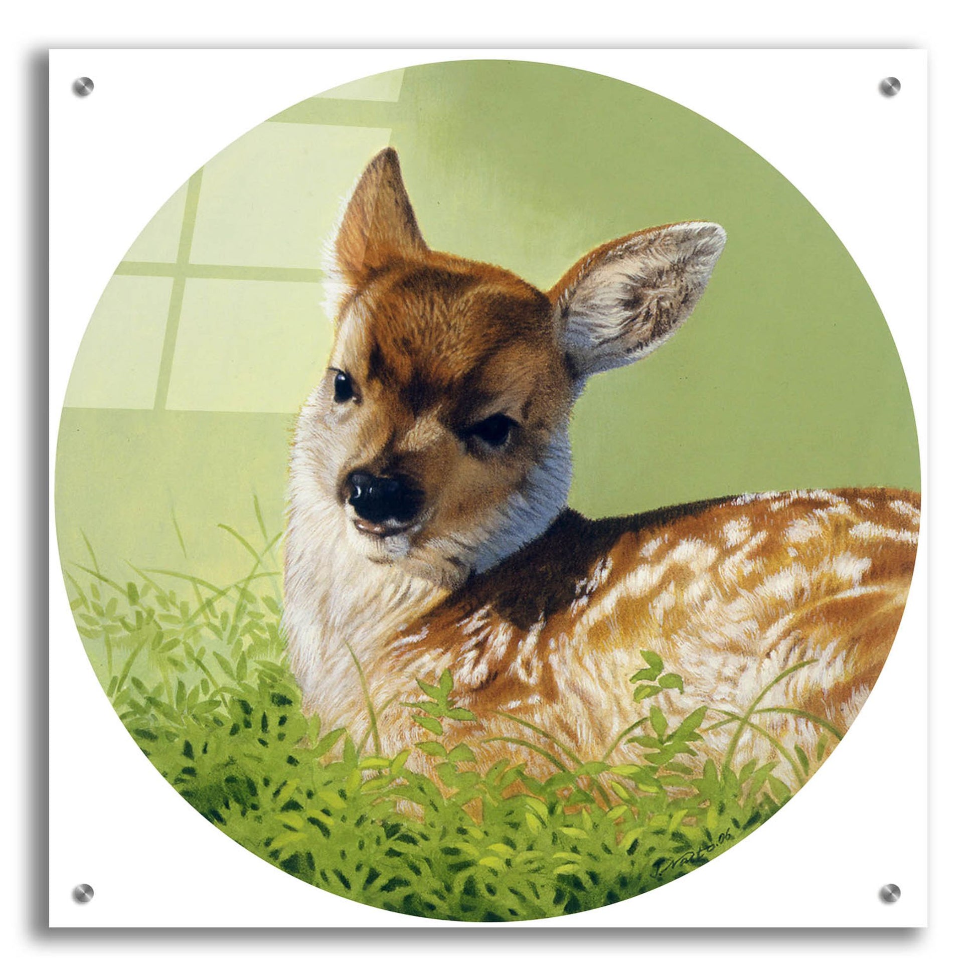 Epic Art 'Soft Light' by Joh Naito, Acrylic Glass Wall Art,24x24