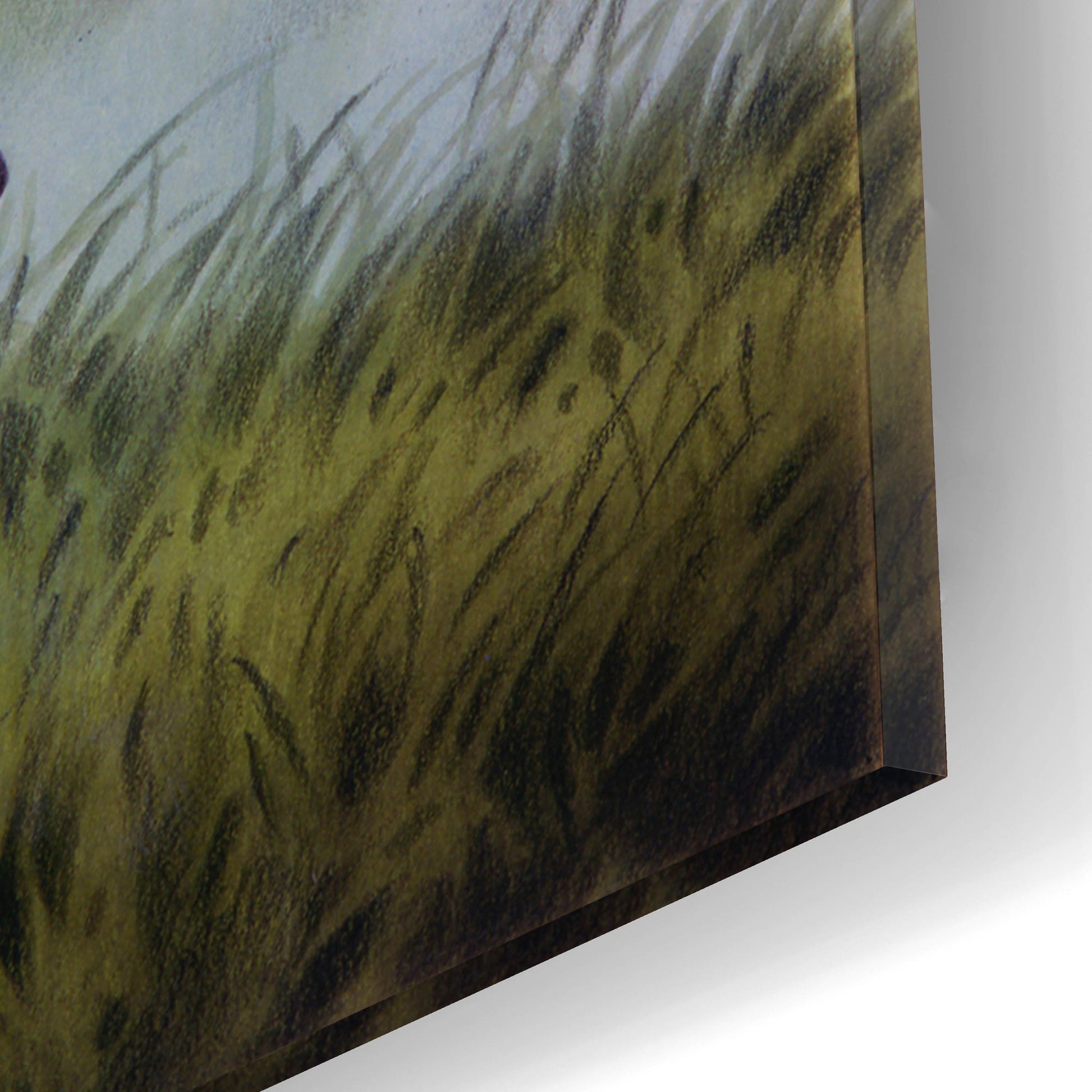 Epic Art 'Careful Watch' by Joh Naito, Acrylic Glass Wall Art,16x12