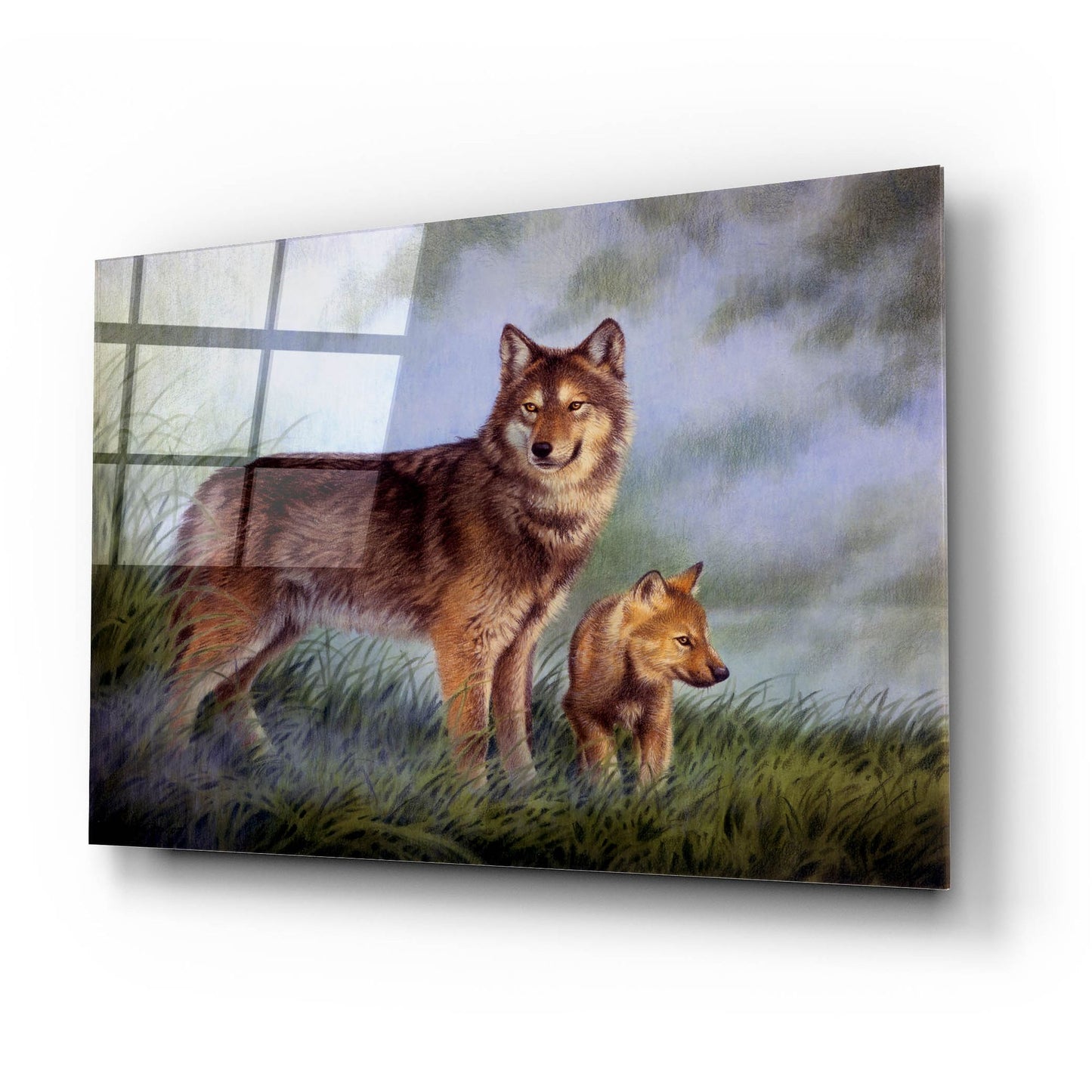 Epic Art 'Careful Watch' by Joh Naito, Acrylic Glass Wall Art,24x16