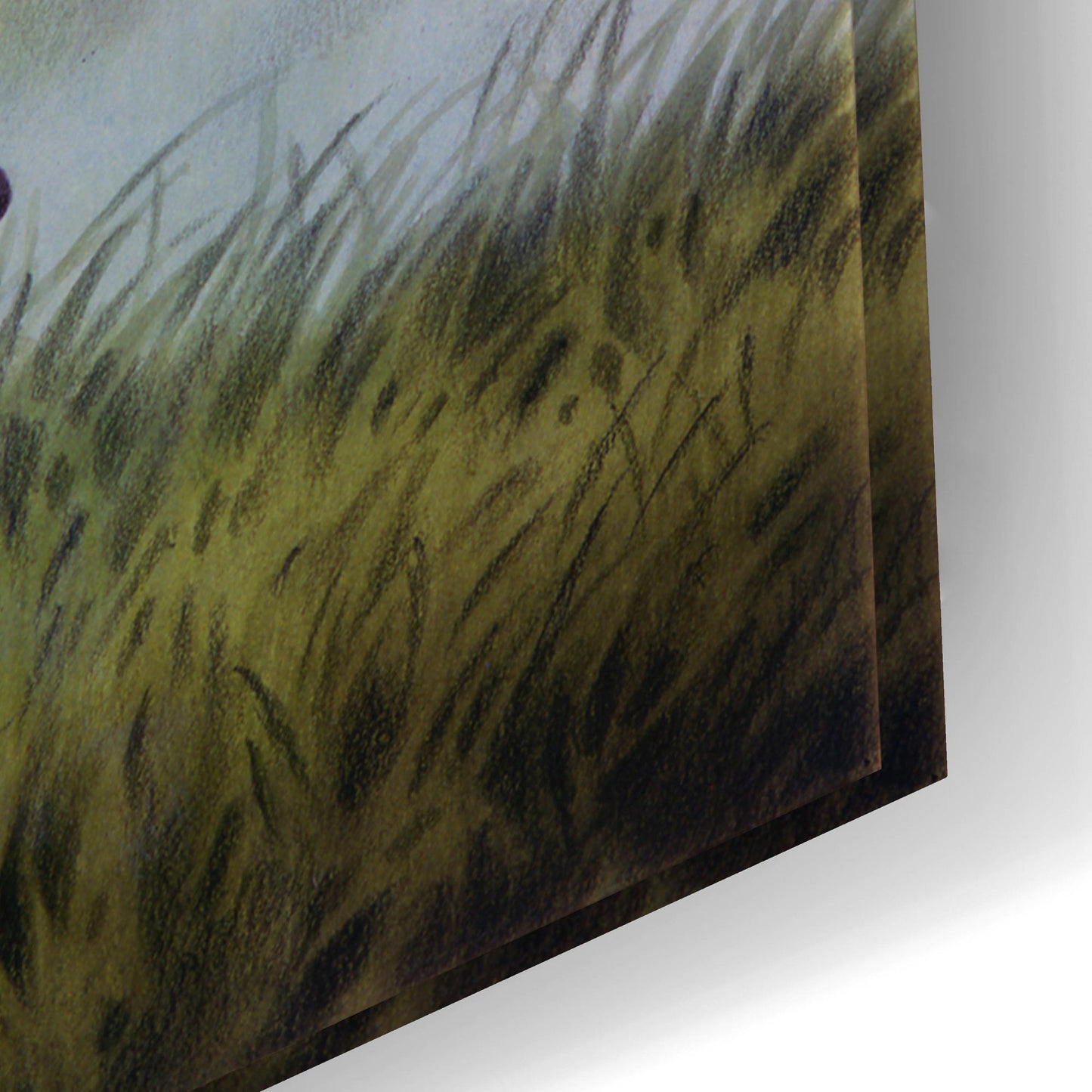 Epic Art 'Careful Watch' by Joh Naito, Acrylic Glass Wall Art,24x16