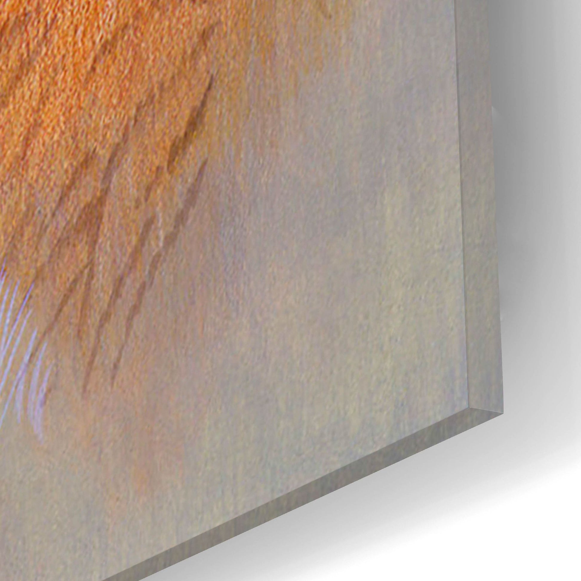 Epic Art 'Mother'S Love' by Joh Naito, Acrylic Glass Wall Art,12x16