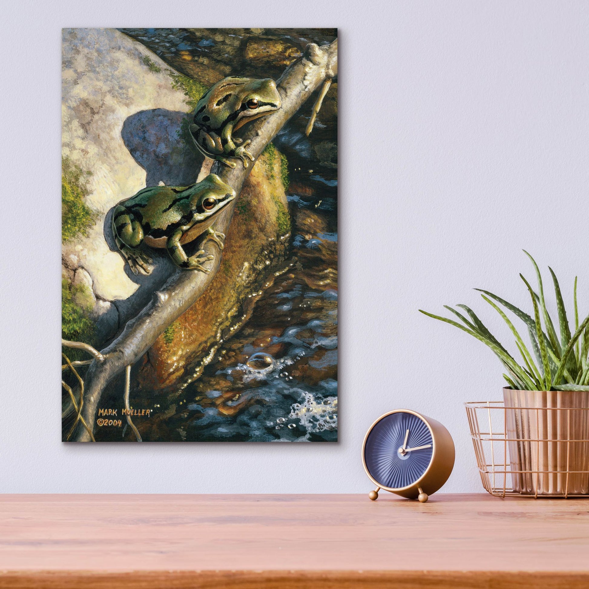 Epic Art 'Arizona Tree Frogs' by Mark Mueller Wildlife Art, Acrylic Glass Wall Art,12x16