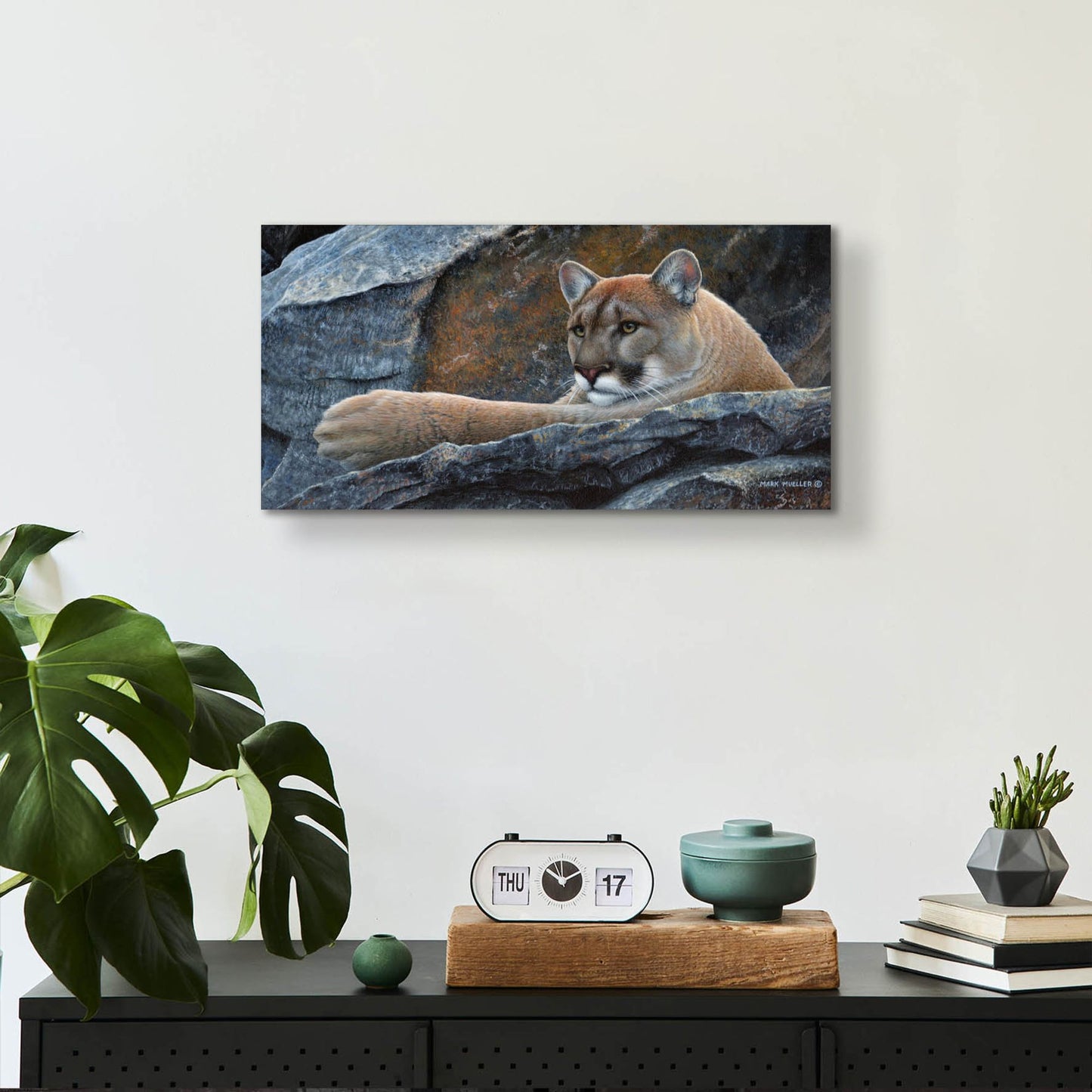 Epic Art 'Between a Rock and a Hard Place - Cougar' by Mark Mueller Wildlife Art, Acrylic Glass Wall Art,24x12