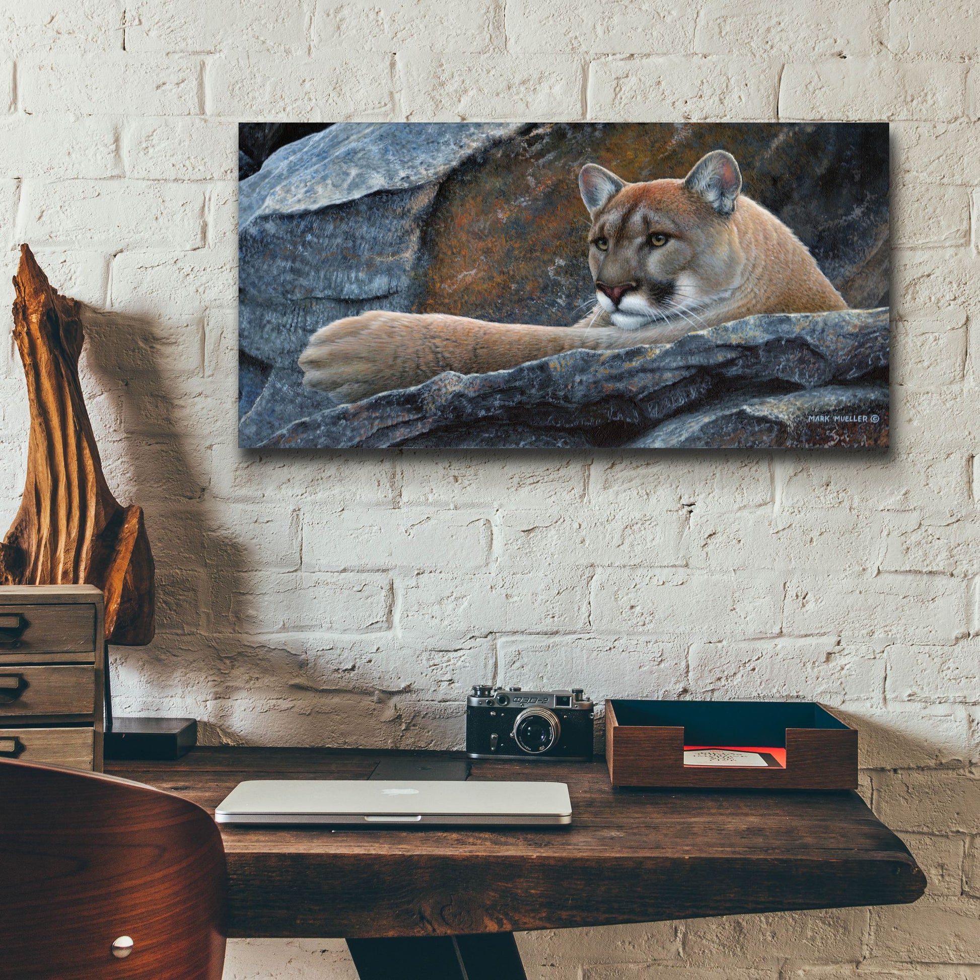 Epic Art 'Between a Rock and a Hard Place - Cougar' by Mark Mueller Wildlife Art, Acrylic Glass Wall Art,24x12