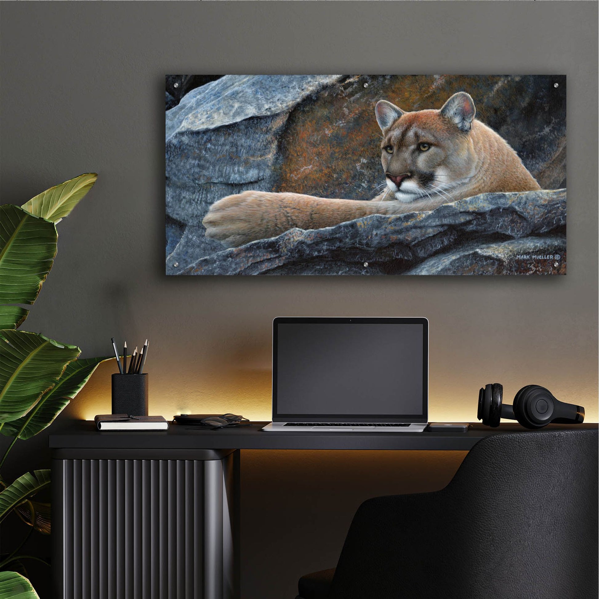 Epic Art 'Between a Rock and a Hard Place - Cougar' by Mark Mueller Wildlife Art, Acrylic Glass Wall Art,48x24