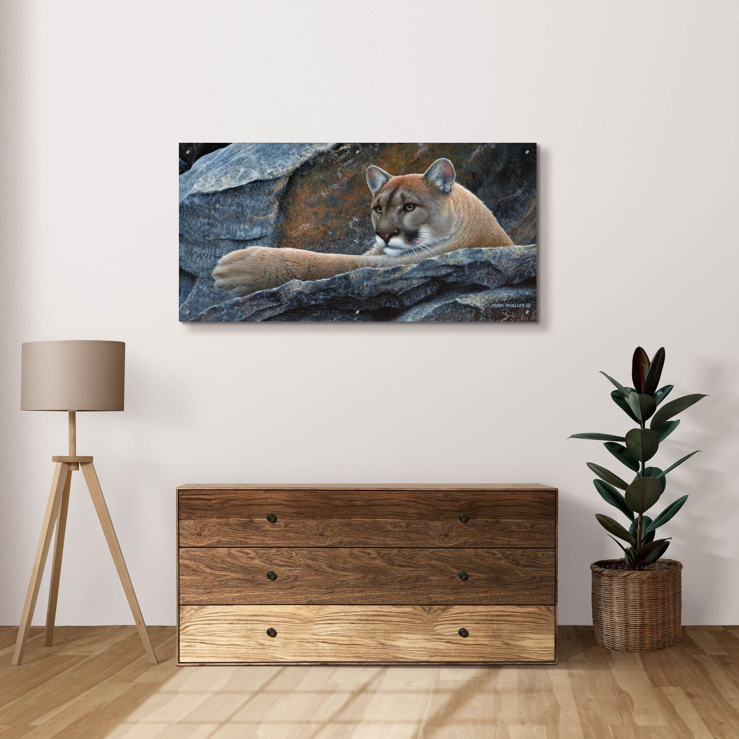 Epic Art 'Between a Rock and a Hard Place - Cougar' by Mark Mueller Wildlife Art, Acrylic Glass Wall Art,48x24