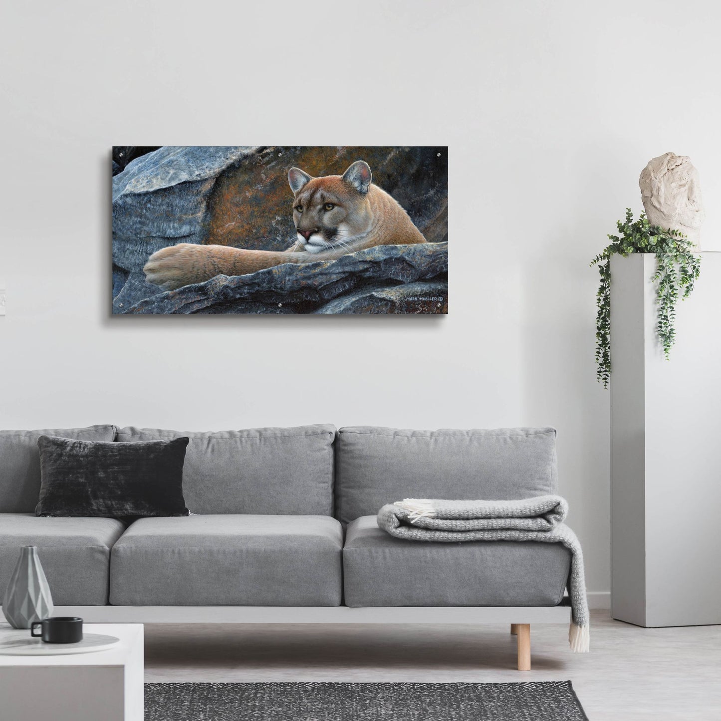 Epic Art 'Between a Rock and a Hard Place - Cougar' by Mark Mueller Wildlife Art, Acrylic Glass Wall Art,48x24