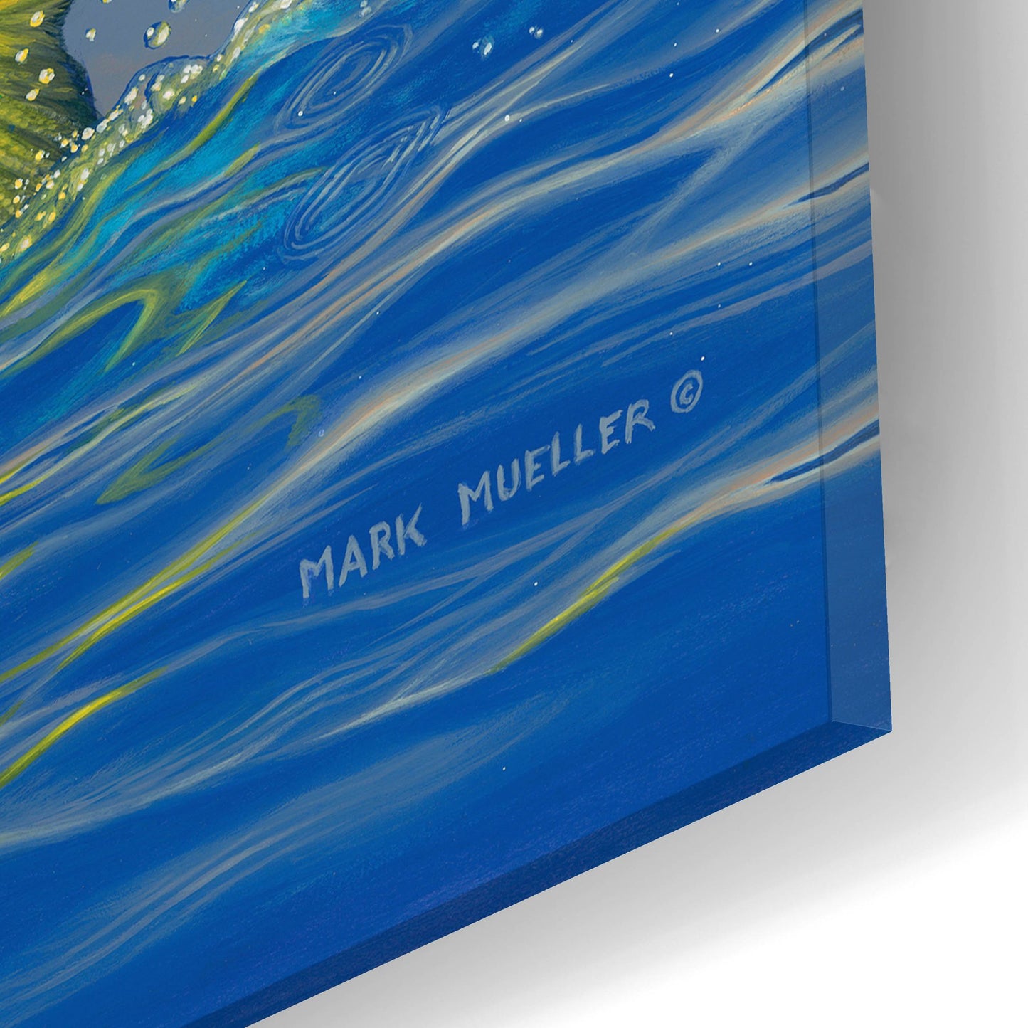 Epic Art 'Chicken Fight - Mahi Mahi' by Mark Mueller Wildlife Art, Acrylic Glass Wall Art,24x12