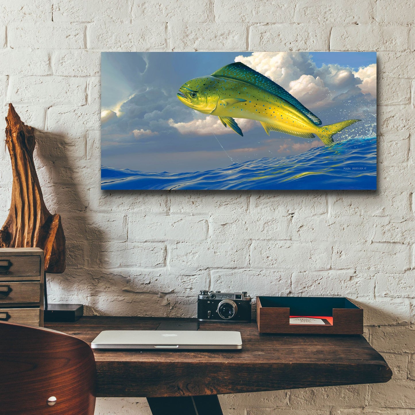 Epic Art 'Chicken Fight - Mahi Mahi' by Mark Mueller Wildlife Art, Acrylic Glass Wall Art,24x12