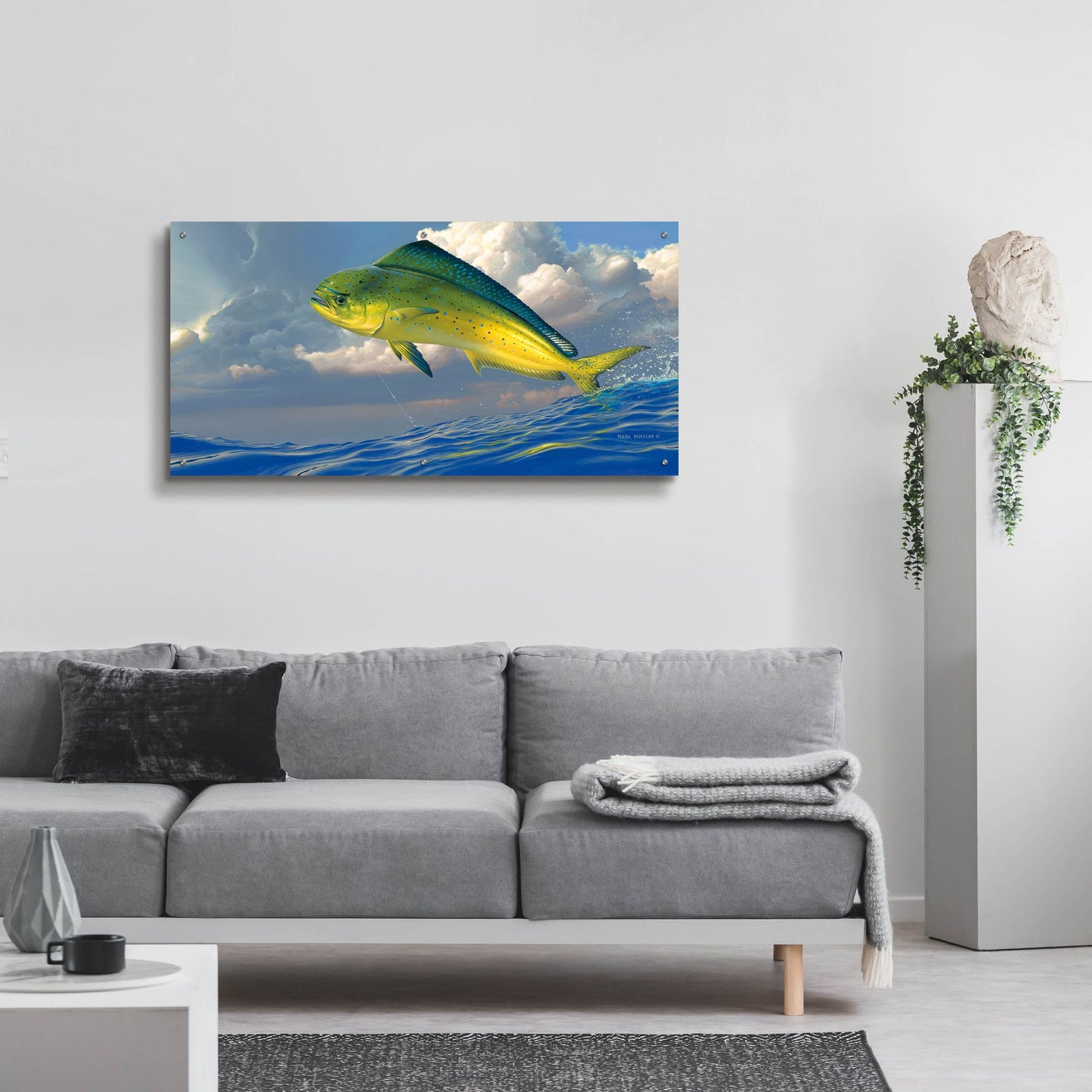 Epic Art 'Chicken Fight - Mahi Mahi' by Mark Mueller Wildlife Art, Acrylic Glass Wall Art,48x24